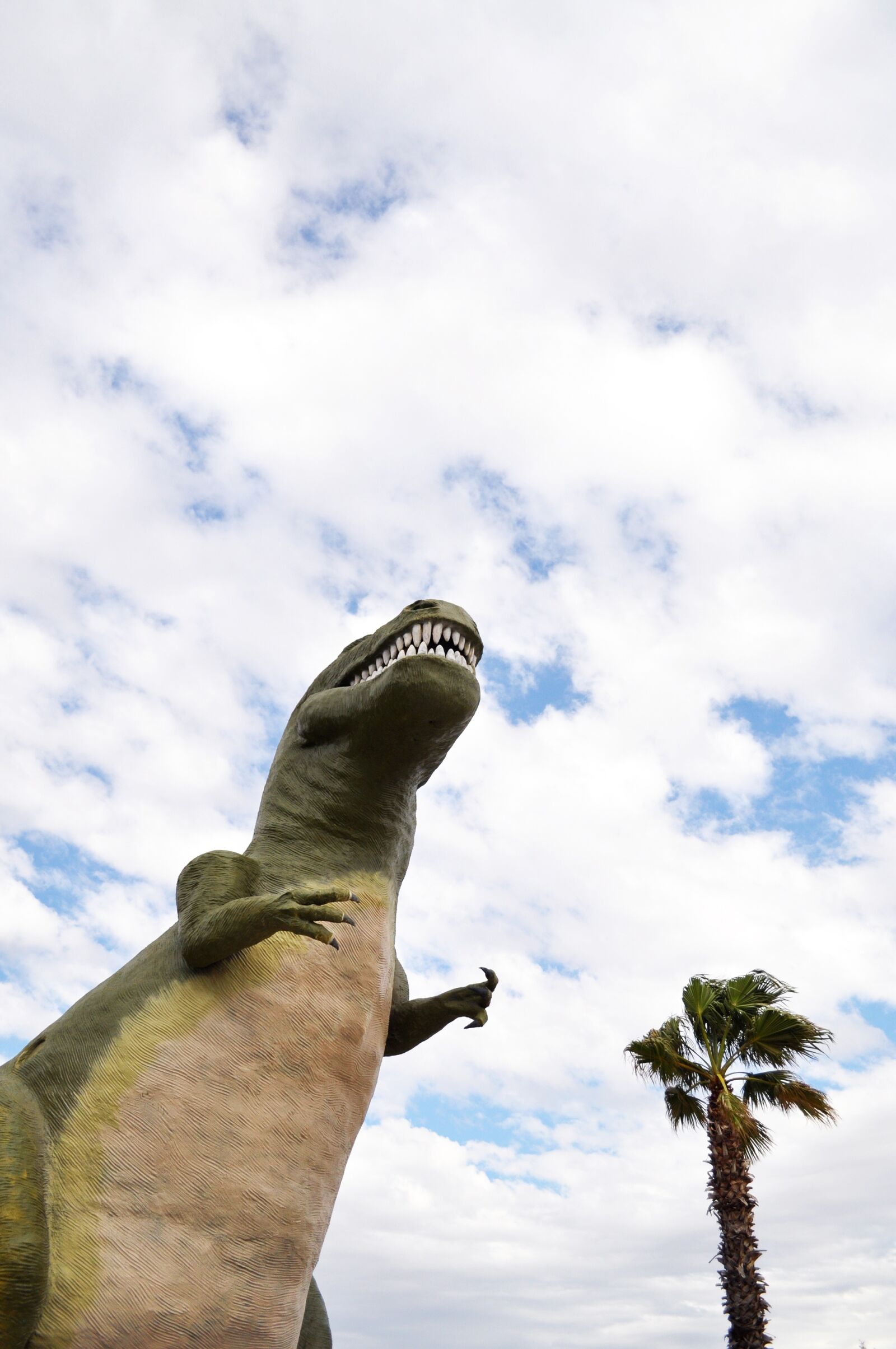 Nikon D5000 sample photo. Sky, outdoors, nature photography