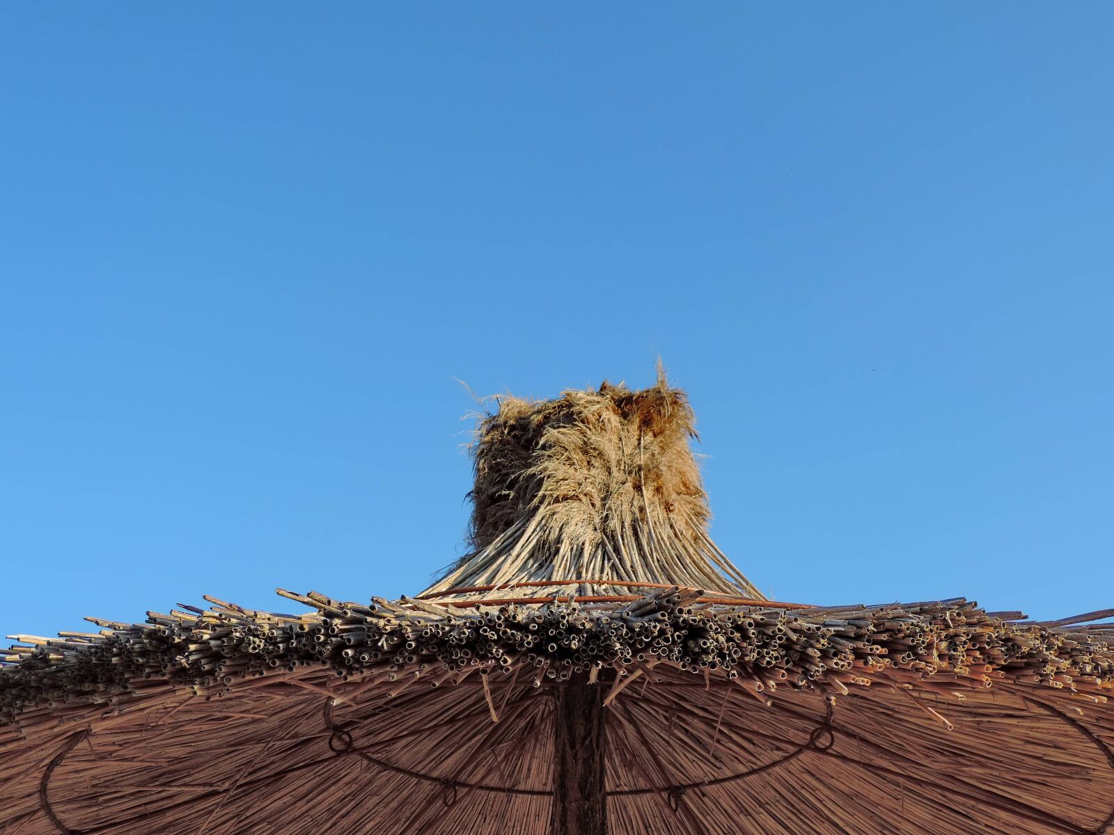 Nikon Coolpix P520 sample photo. Parasol, covering, landscape, nature photography