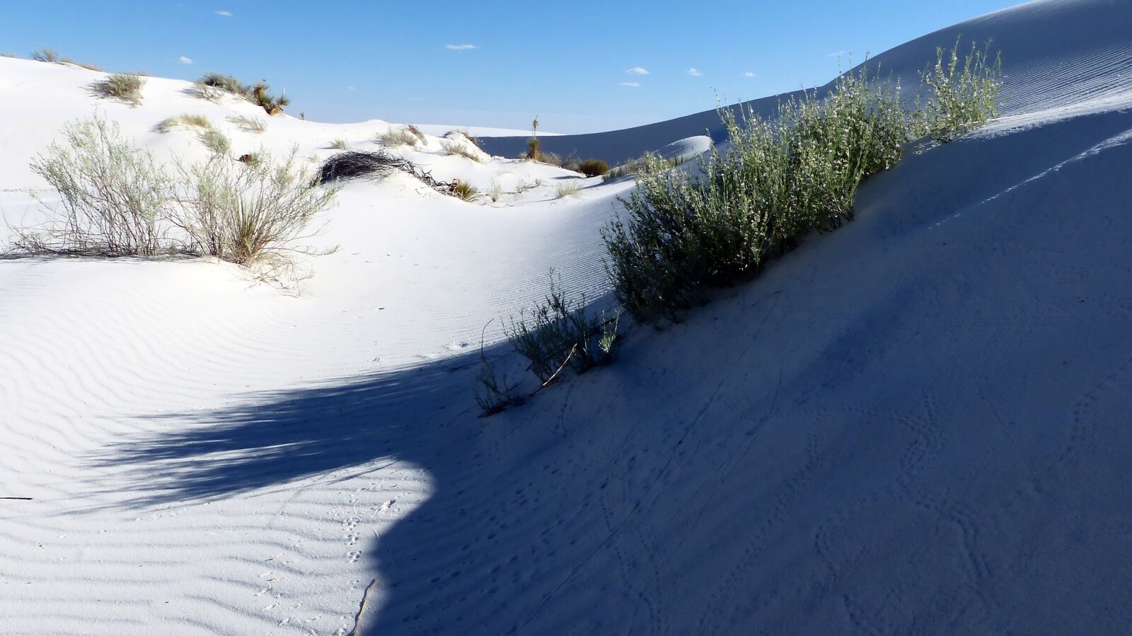 Panasonic Lumix DMC-FZ200 sample photo. Desert, sand, gypsum photography