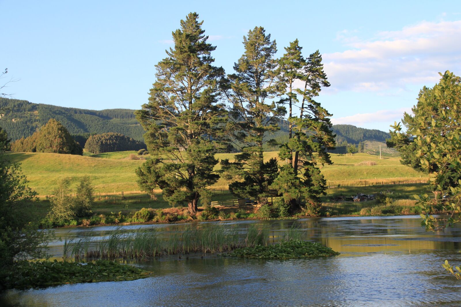 Canon EOS 500D (EOS Rebel T1i / EOS Kiss X3) sample photo. River, water, dere photography
