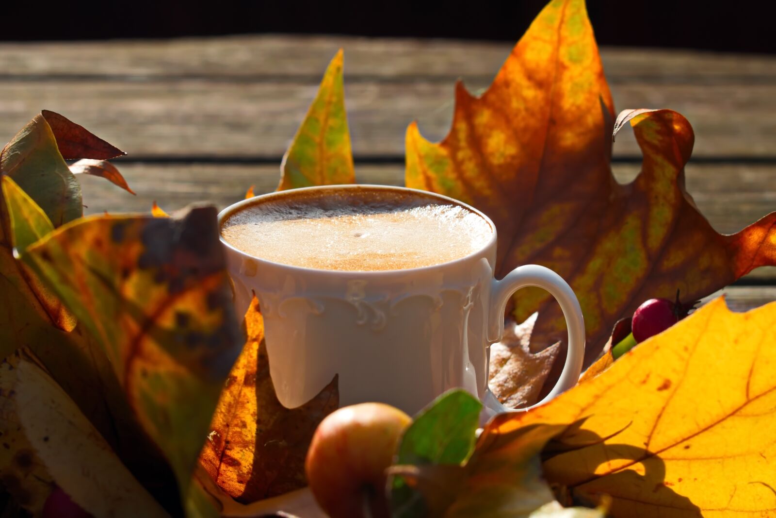 Nikon D3300 sample photo. Autumn, coffee, fall photography