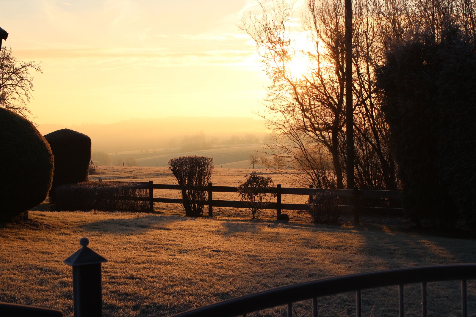 Canon EOS 600D (Rebel EOS T3i / EOS Kiss X5) sample photo. Hoarfrost, winter, cold photography