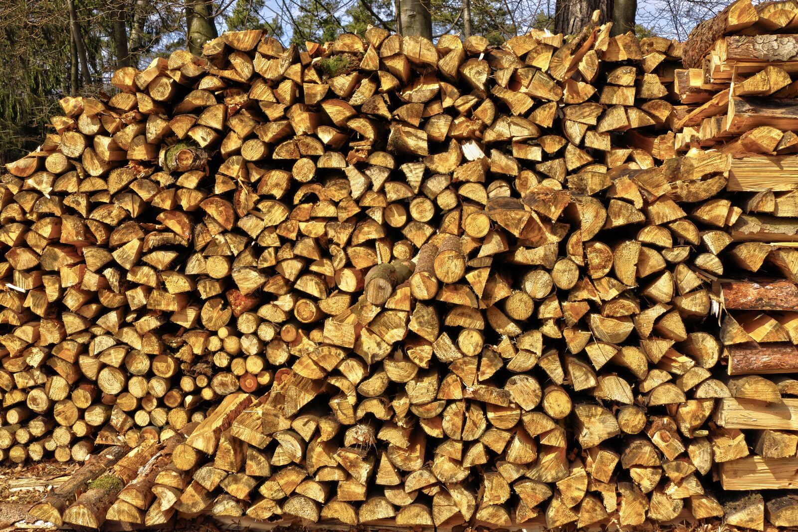 Panasonic Lumix DMC-FZ1000 sample photo. Strains, firewood, stacked photography