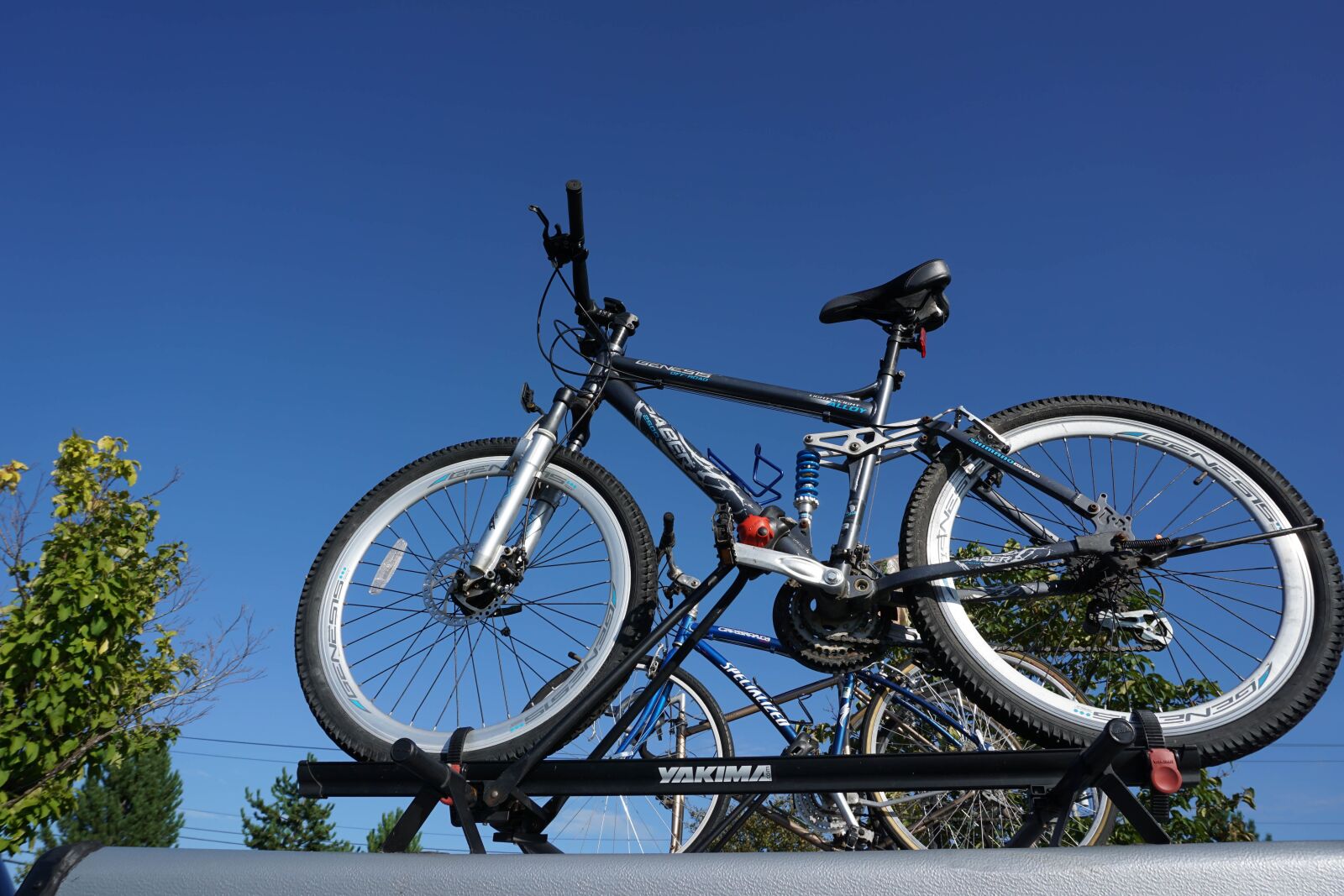 Sony a6000 sample photo. Bike, green, cycle photography
