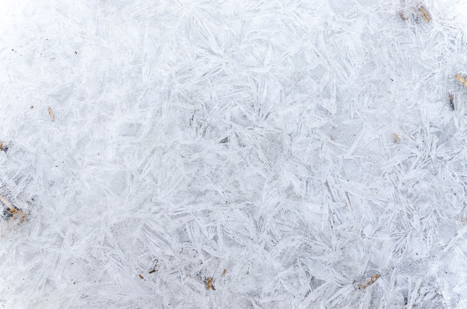 Nikon D5100 sample photo. Pattern, winter, cold photography