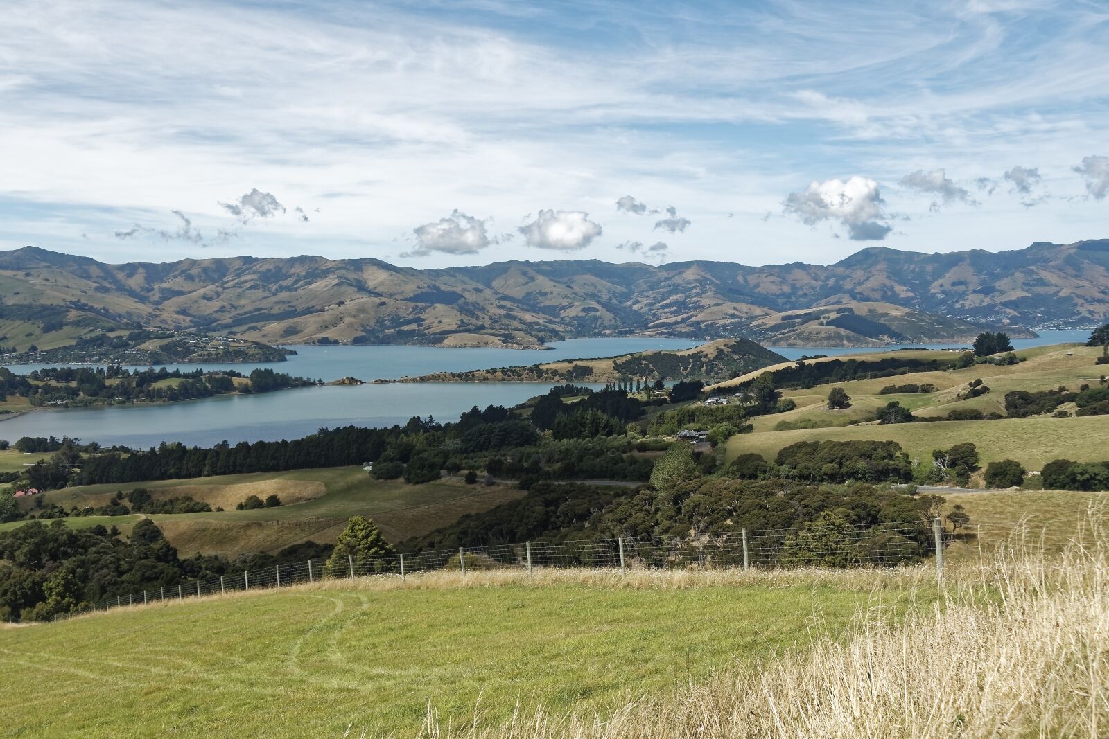 Nikon D500 sample photo. New zealand, banks peninsula photography