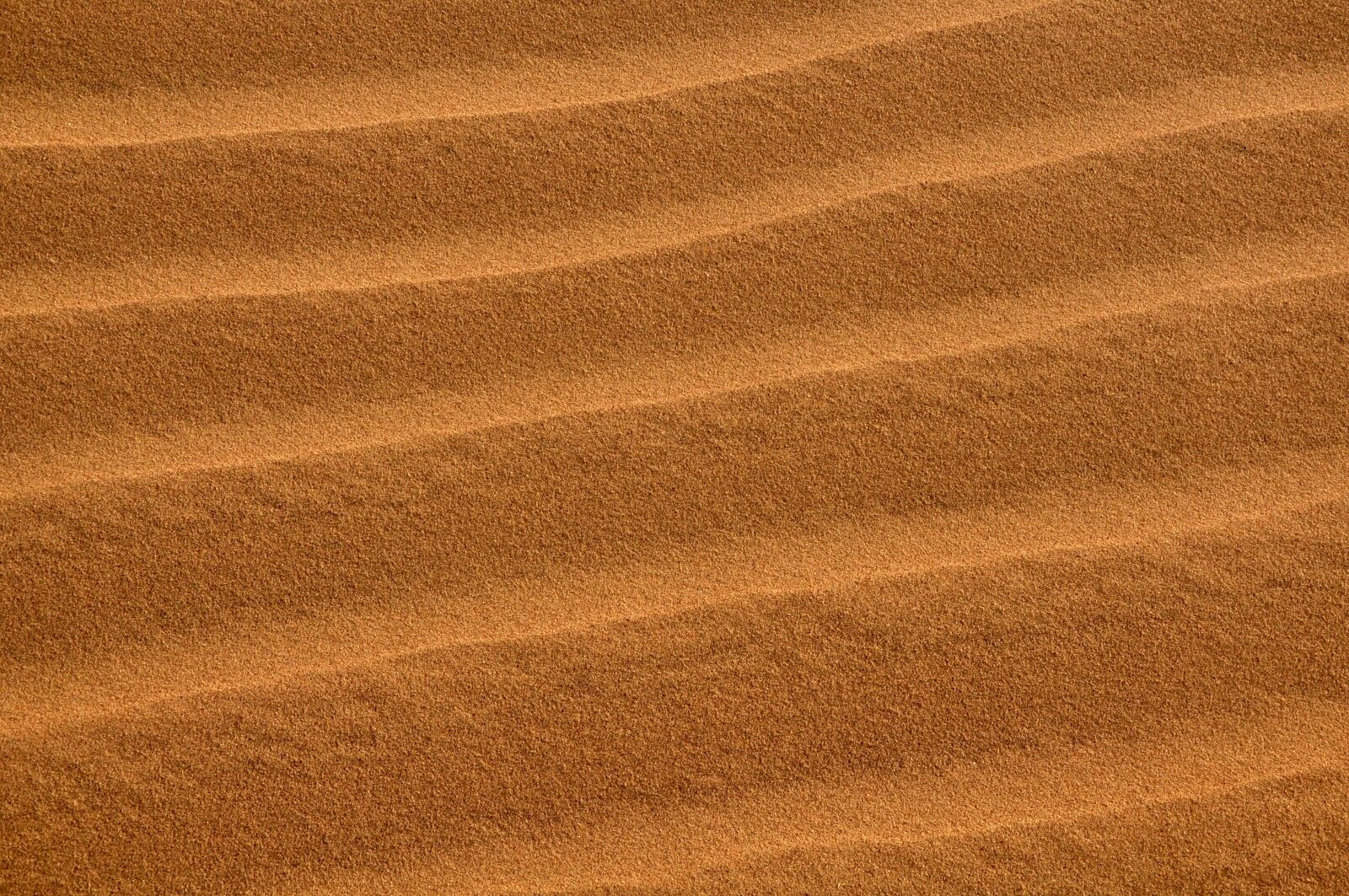 Nikon D90 sample photo. Dunes, sand, texture photography