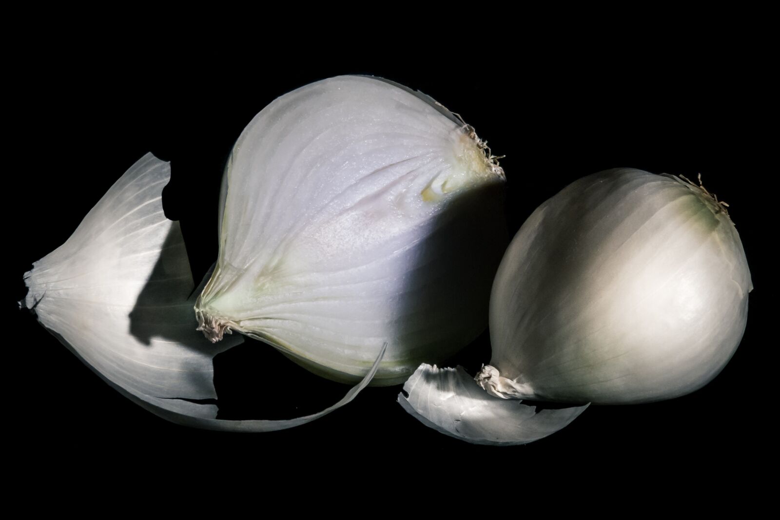 Panasonic Lumix DMC-FZ200 sample photo. Vegetables, cook, onion photography