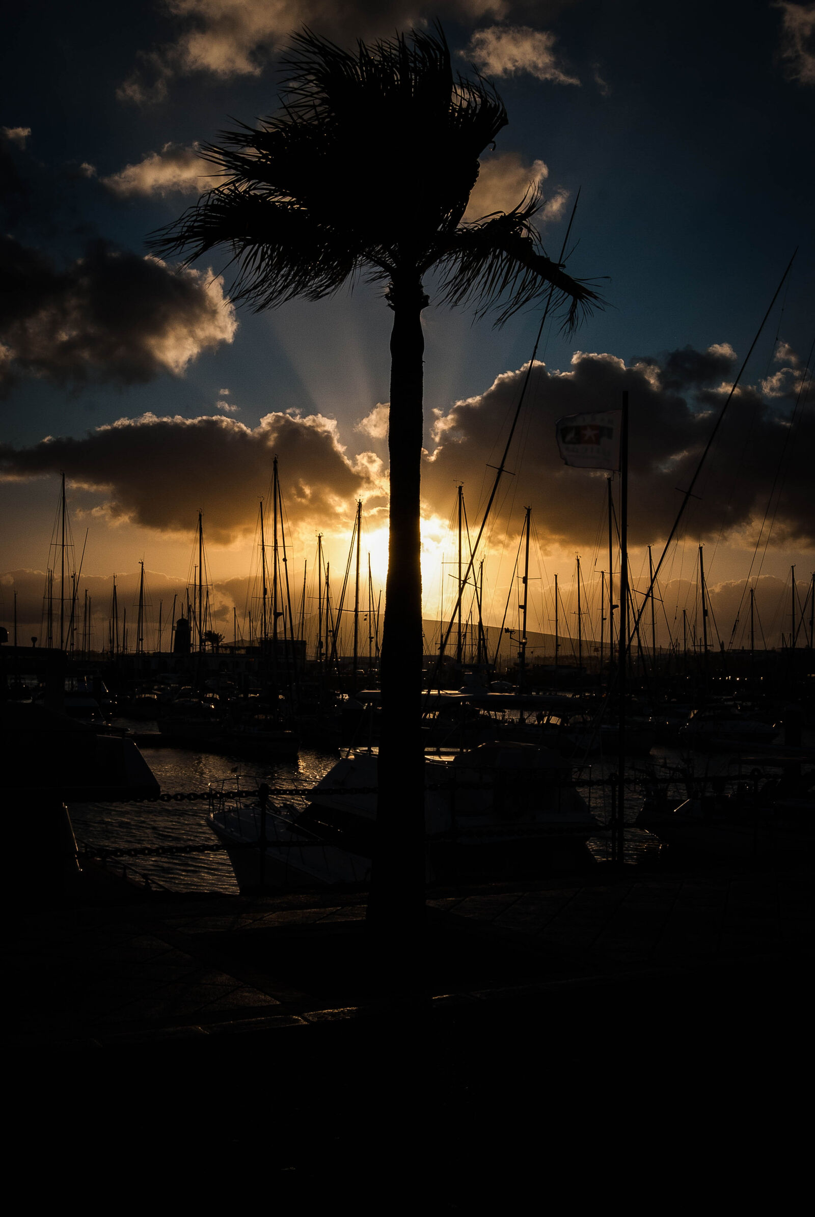 Nikon D40X sample photo. Lanzarote, palmtrees, sunset photography