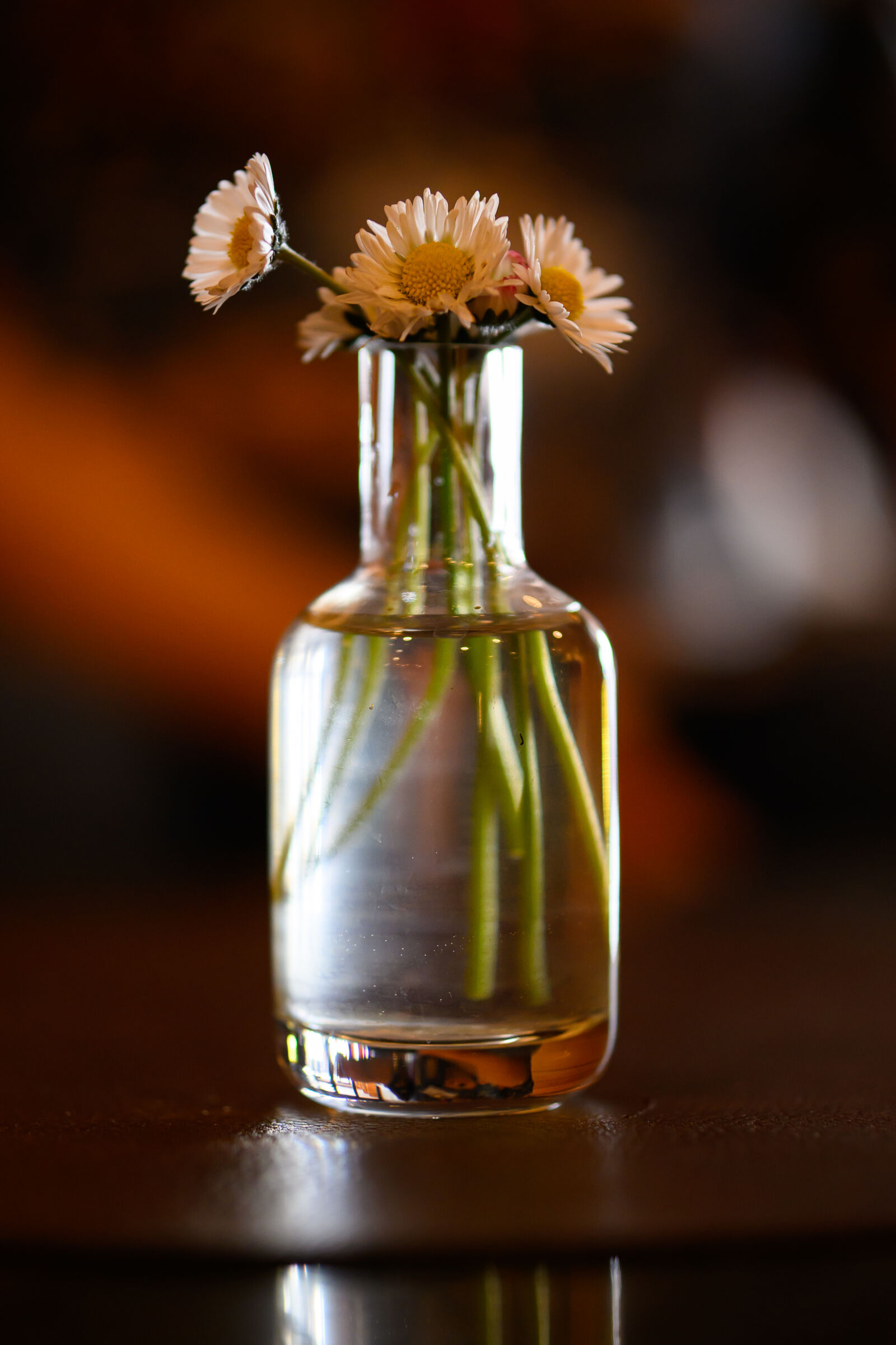 Nikon Z9 sample photo. Bokeh flower photography