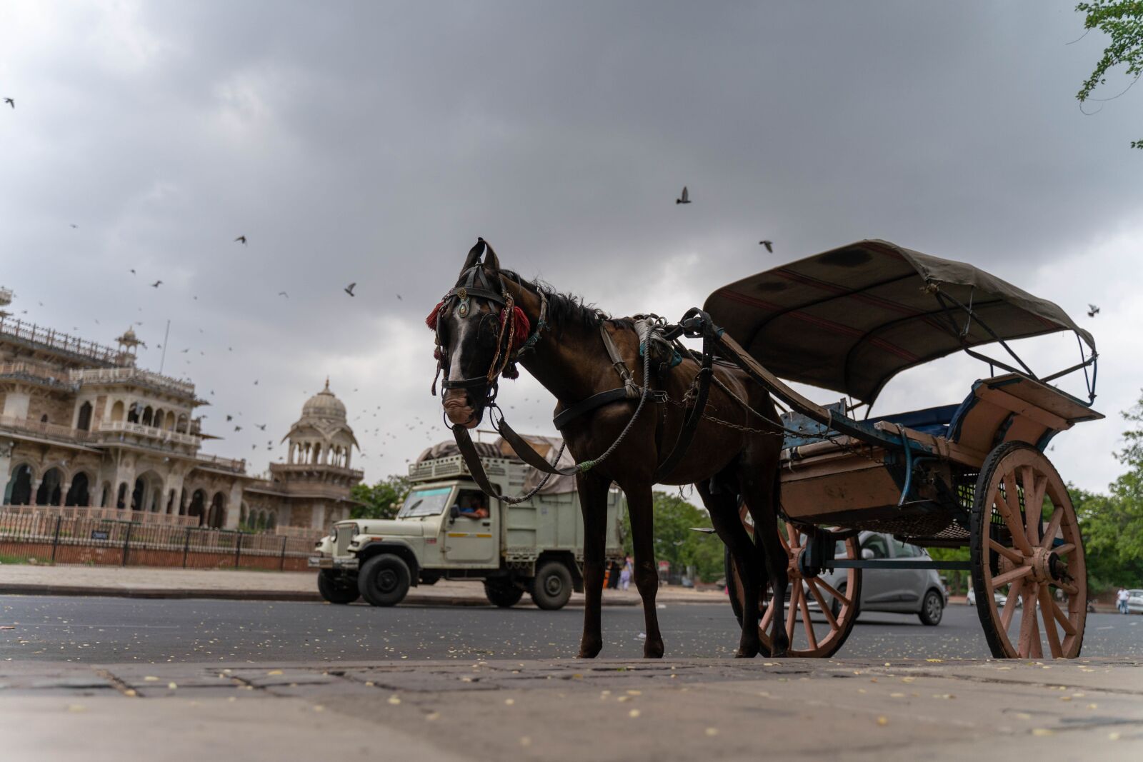 Sony a7 III + Tamron 28-75mm F2.8 Di III RXD sample photo. Horse, fort, cavalry photography