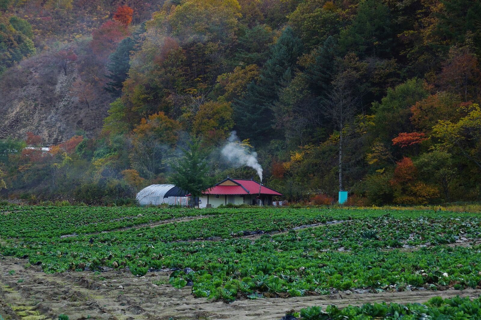 Sony Vario-Sonnar T* DT 16-80mm F3.5-4.5 ZA sample photo. Autumn, country house, fall photography