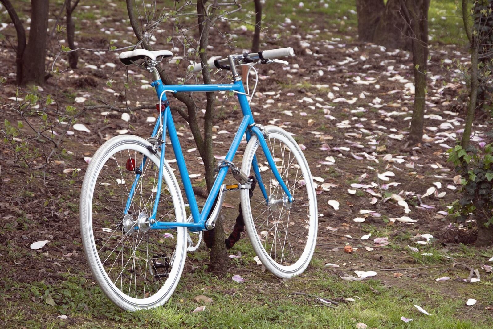 Nikon D7100 sample photo. Bicycle, wood, forest, vehicle photography