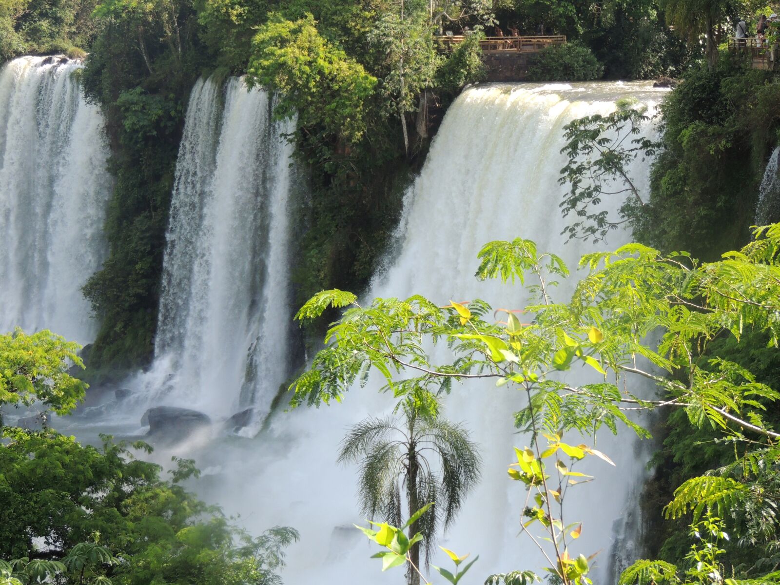 Nikon Coolpix P510 sample photo. Jump, falls, iguazu photography