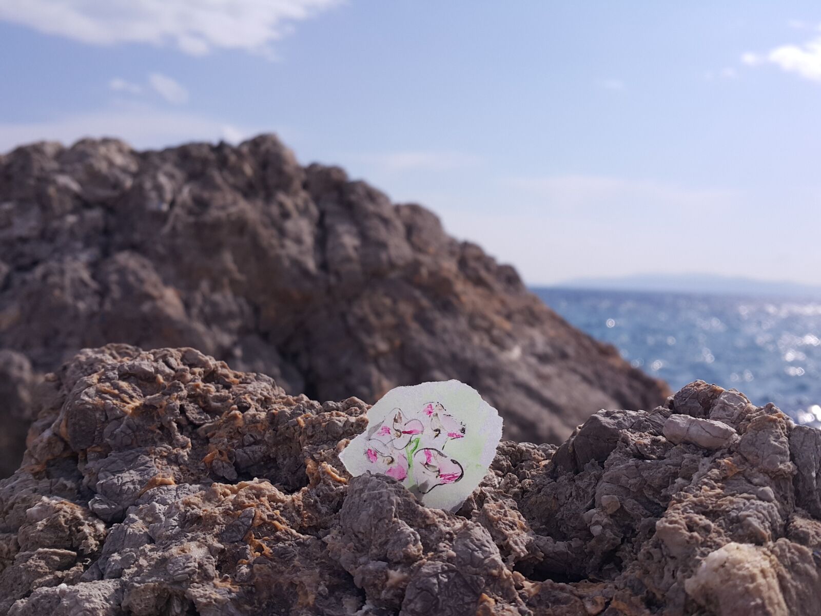 Samsung Galaxy Note4 sample photo. Flowers, rocks, sea, sunny photography