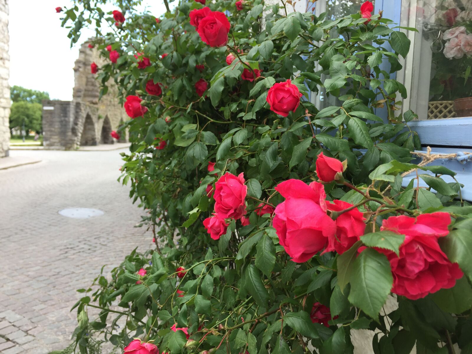 iPhone 6 back camera 4.15mm f/2.2 sample photo. Visby, gotland, sweden photography