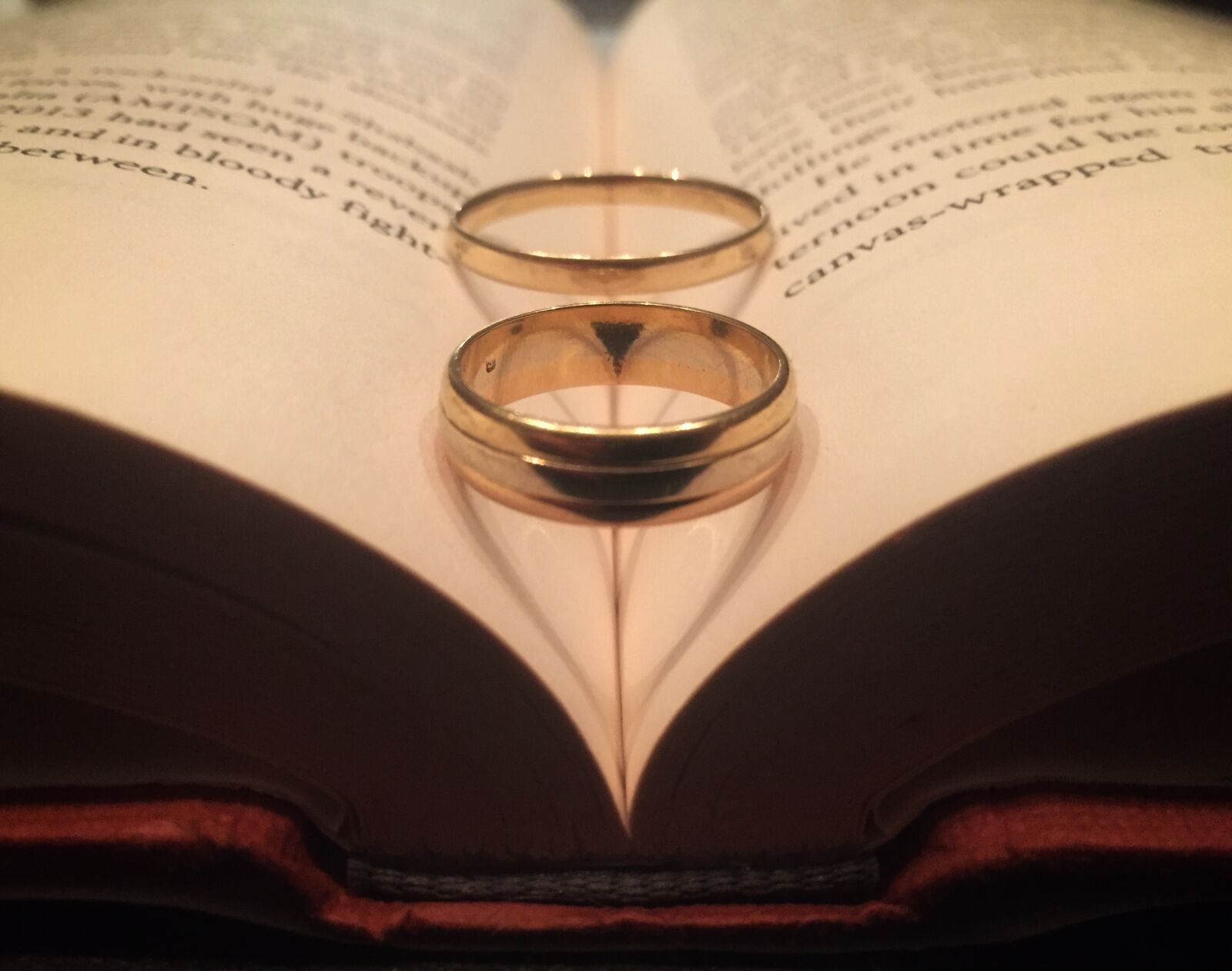 iPhone 6 back camera 4.15mm f/2.2 sample photo. Book, creative, gold, rings photography