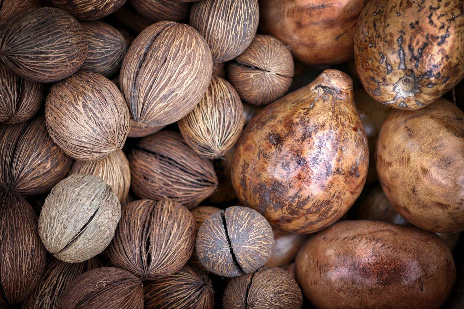 Panasonic Lumix DMC-GX8 sample photo. Food, nut, healthy photography