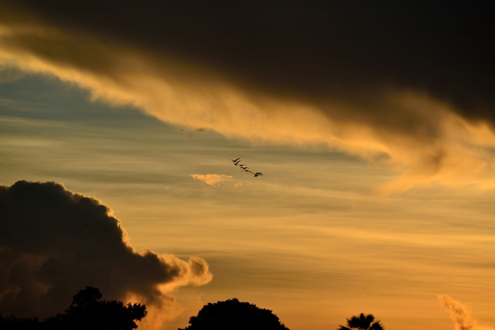 Nikon D800 sample photo. Sunset, zambezi, victoria falls photography