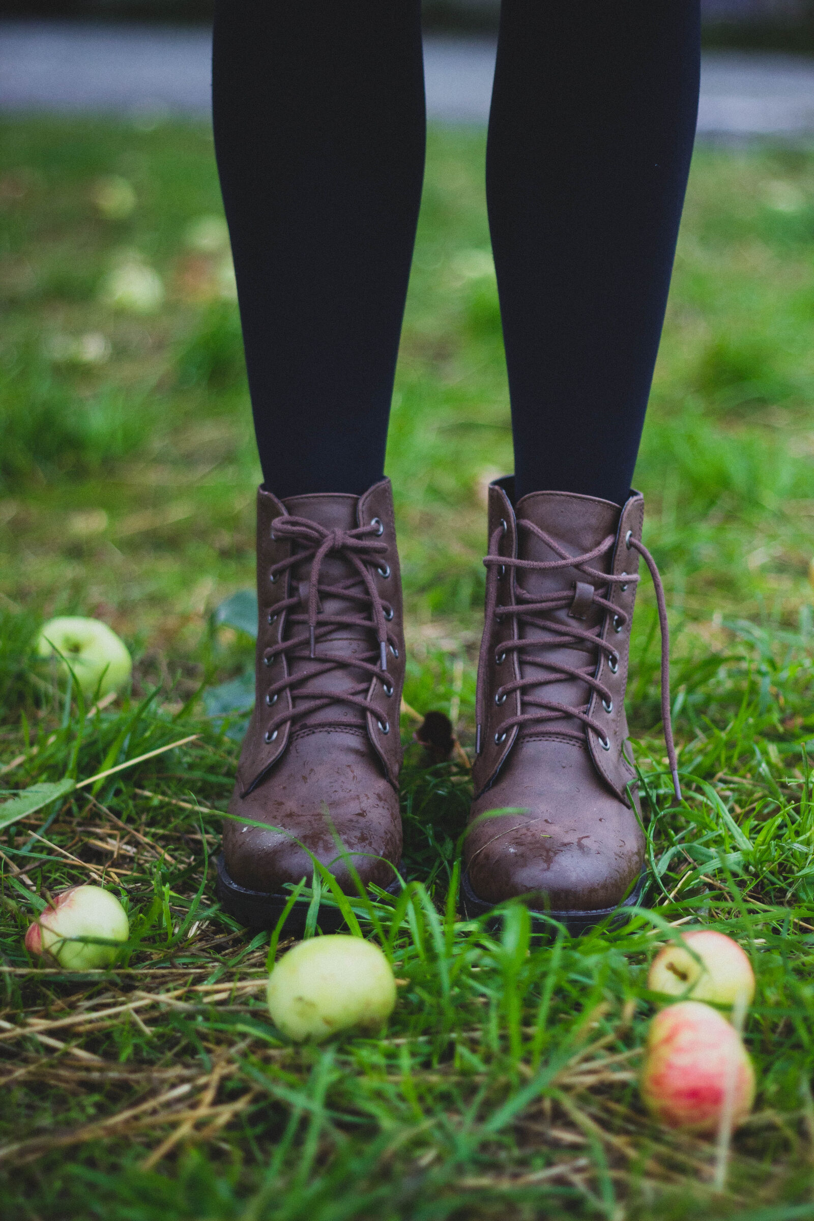 Canon EOS 600D (Rebel EOS T3i / EOS Kiss X5) + Canon EF 50mm F1.8 II sample photo. Apples, colors, fashion, field photography