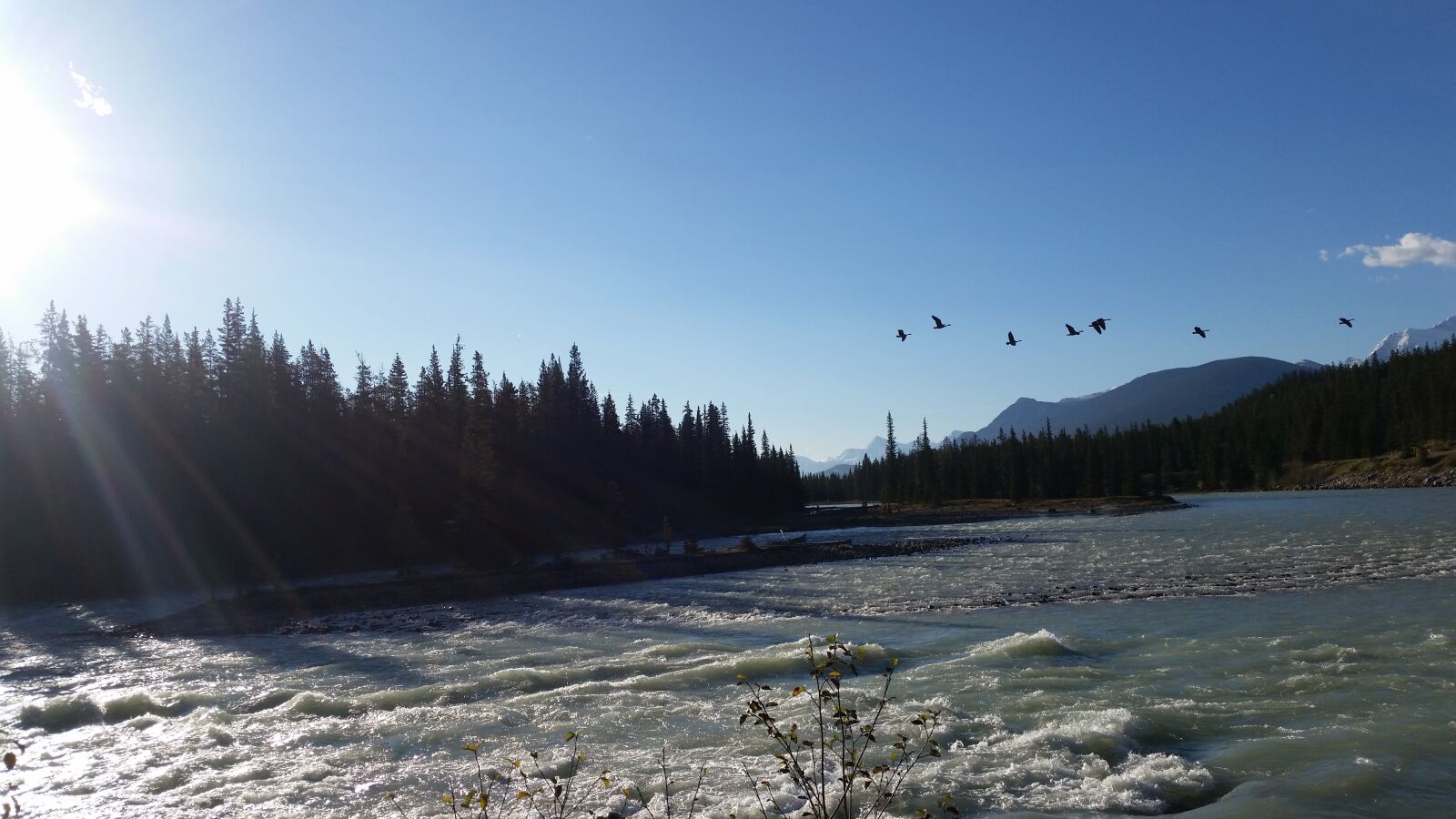 Samsung Galaxy S5 sample photo. Birds, jasper, mountains, river photography