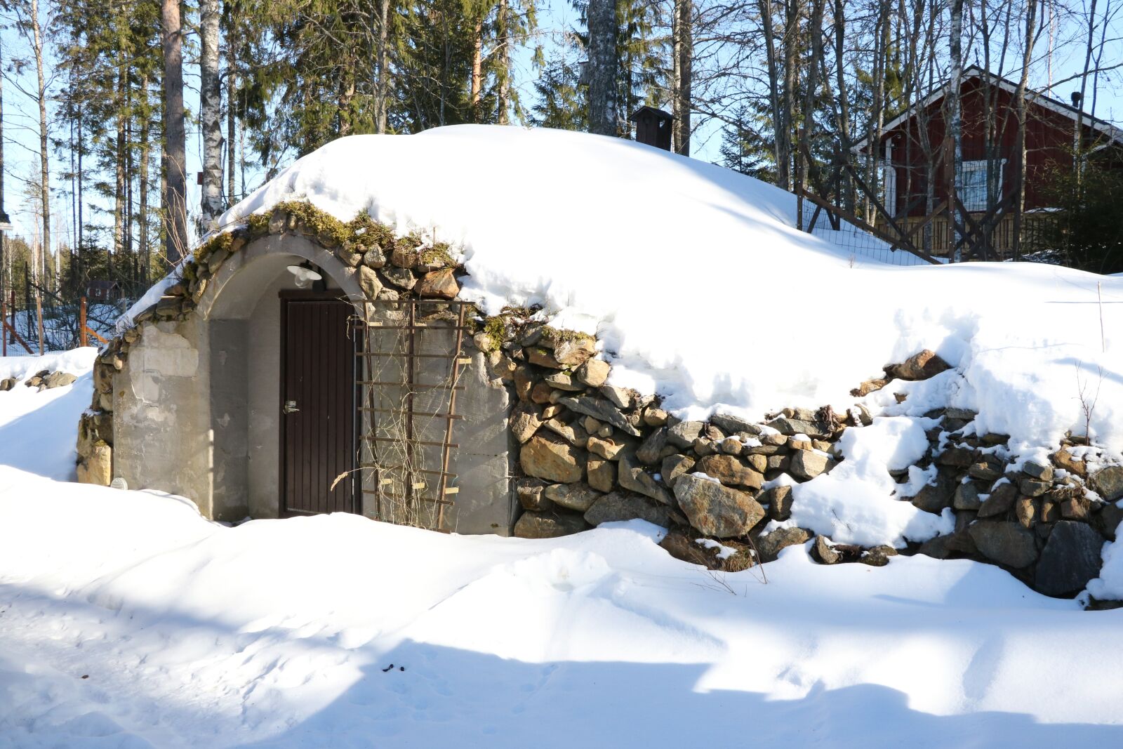 Canon EOS 750D (EOS Rebel T6i / EOS Kiss X8i) sample photo. Snow, winter, cold photography