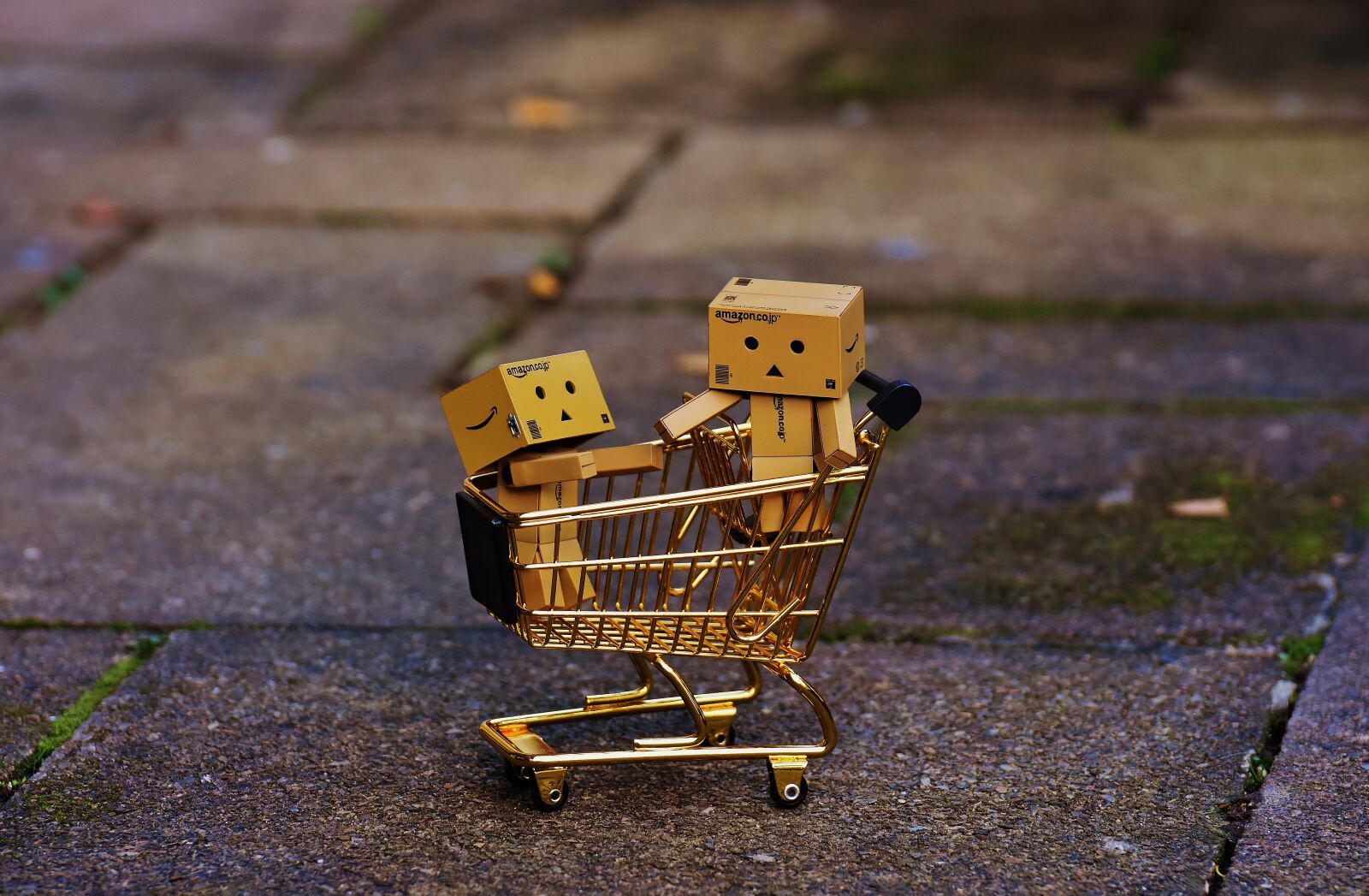 Nikon D7200 sample photo. Danbo, figures, shopping cart photography