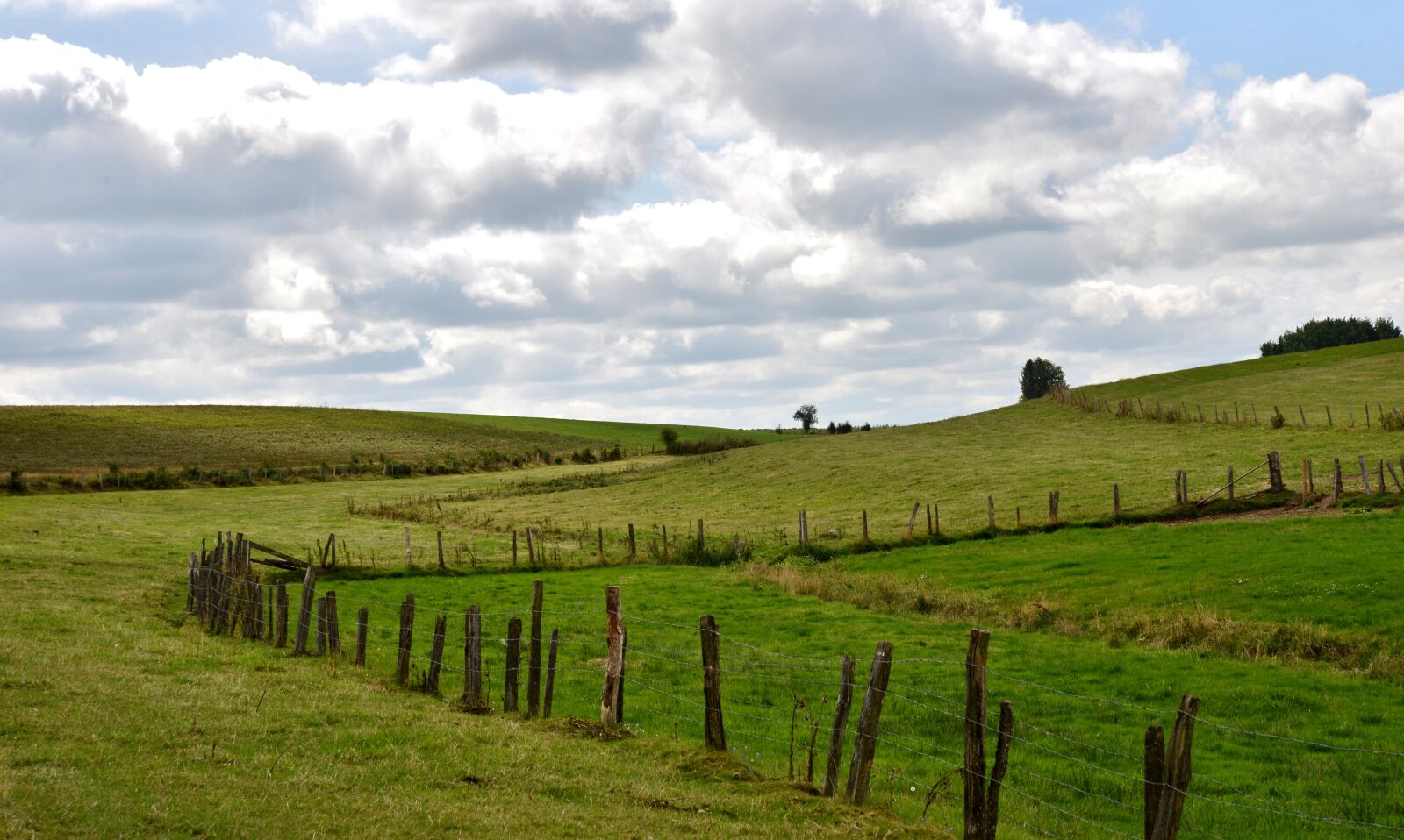 Nikon D600 sample photo. Landscape, vista, meadows photography
