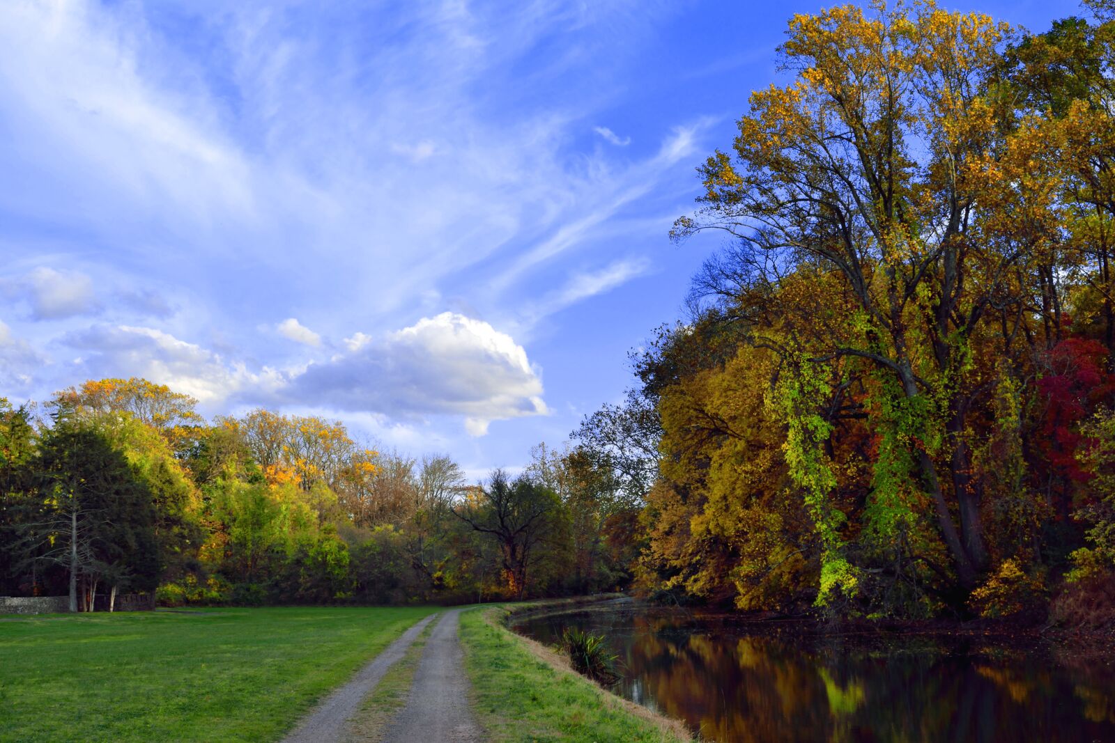 Nikon D5300 sample photo. Autumn, fall, nature photography