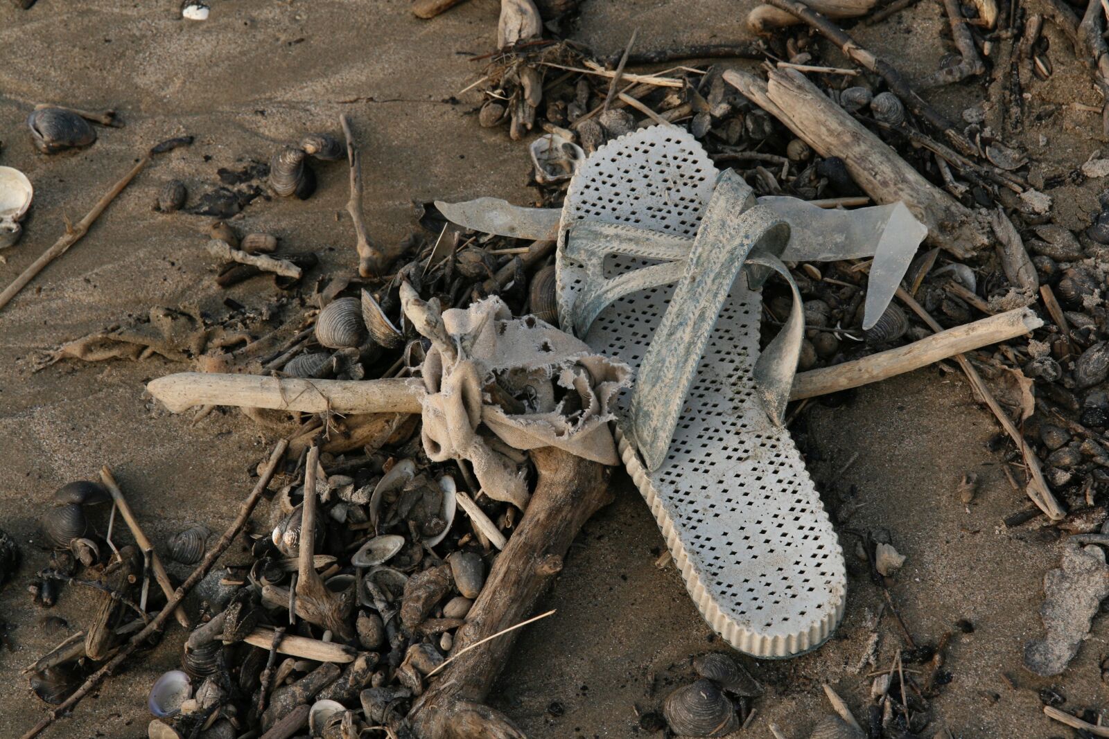 Canon EOS 400D (EOS Digital Rebel XTi / EOS Kiss Digital X) sample photo. Plastic waste, flotsam, garbage photography