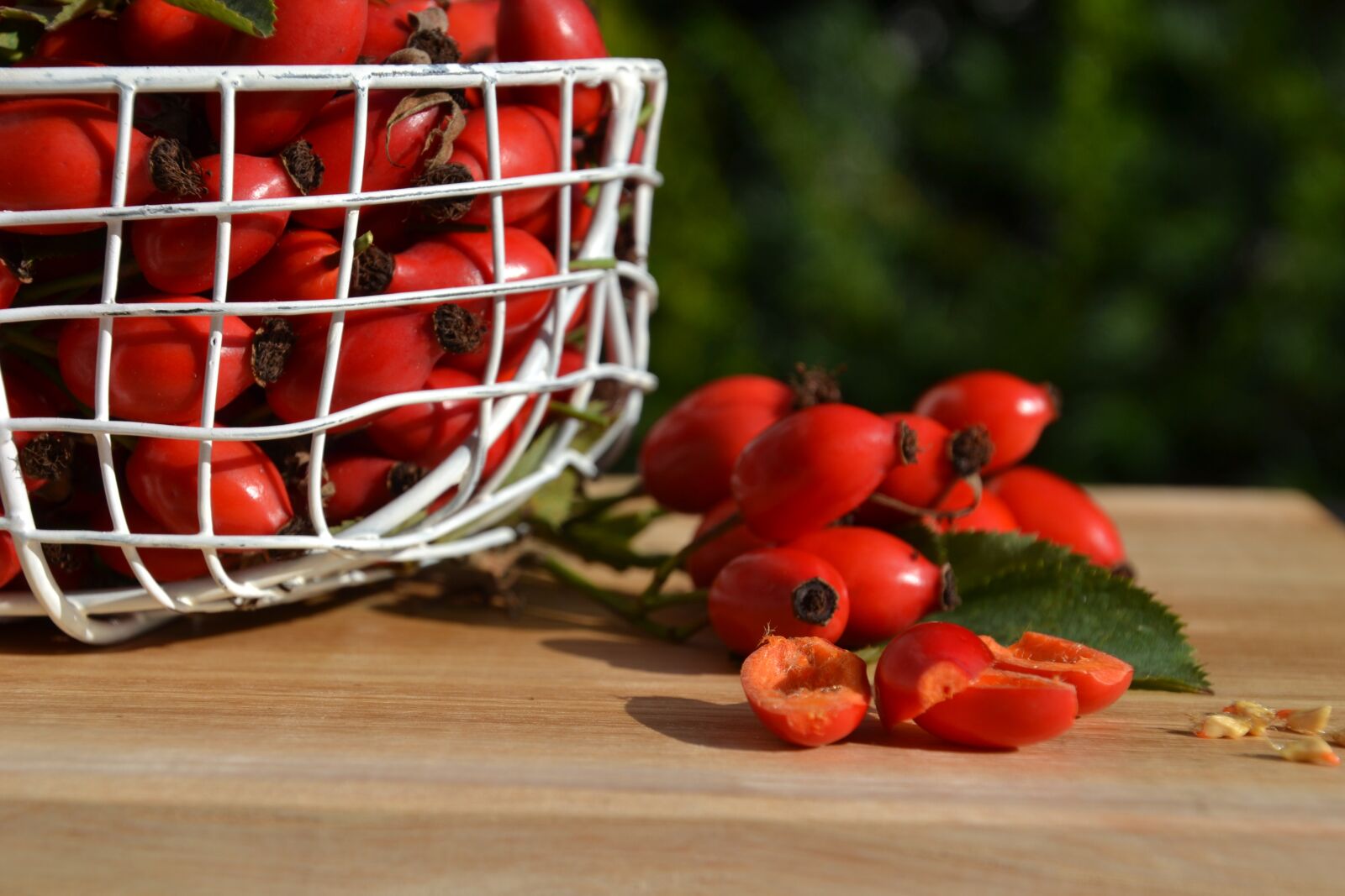 Nikon D3100 sample photo. Rose hip, dog rose photography