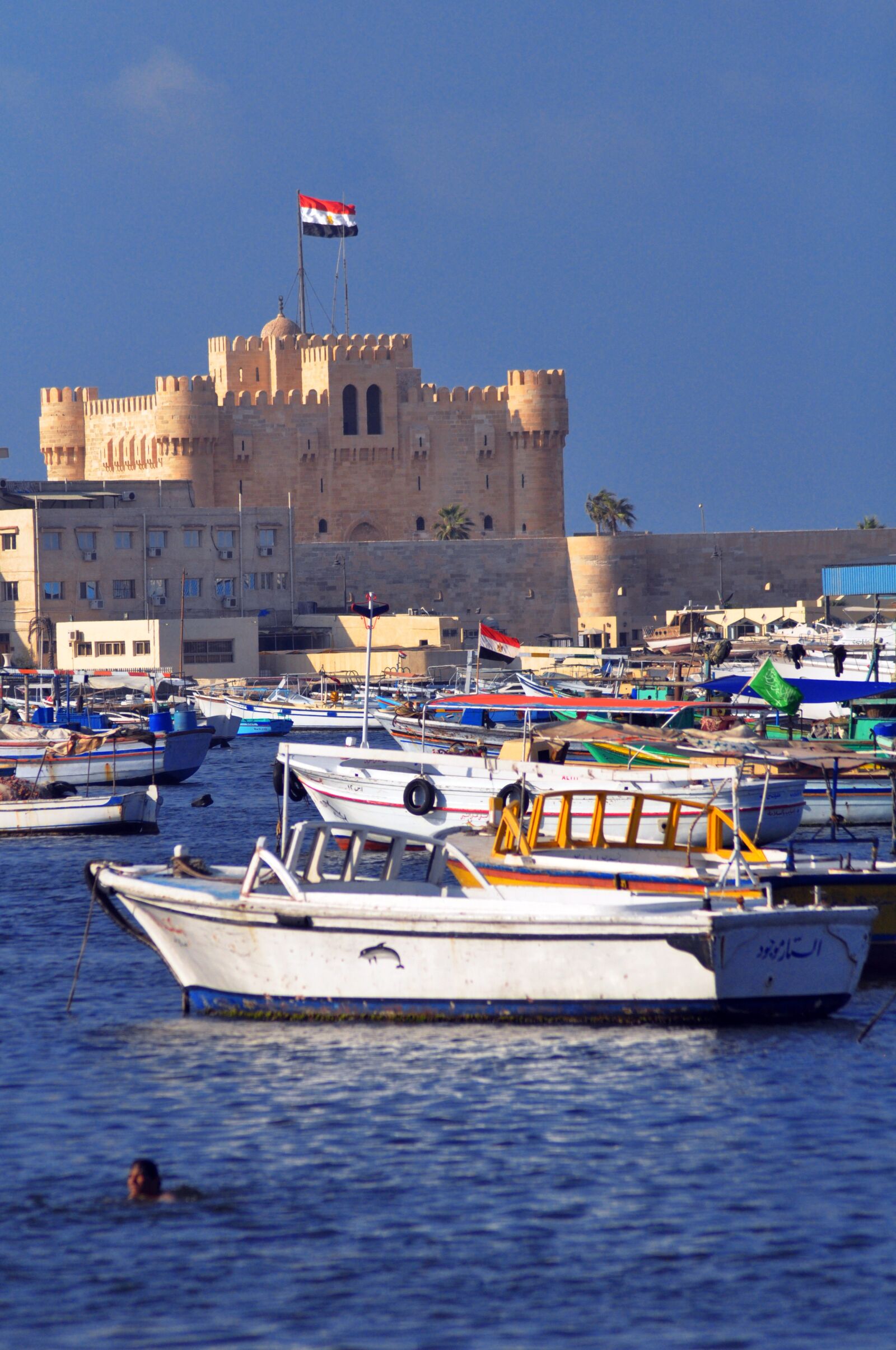 Nikon D90 sample photo. Alexandria, alexandria fort, alexandria photography