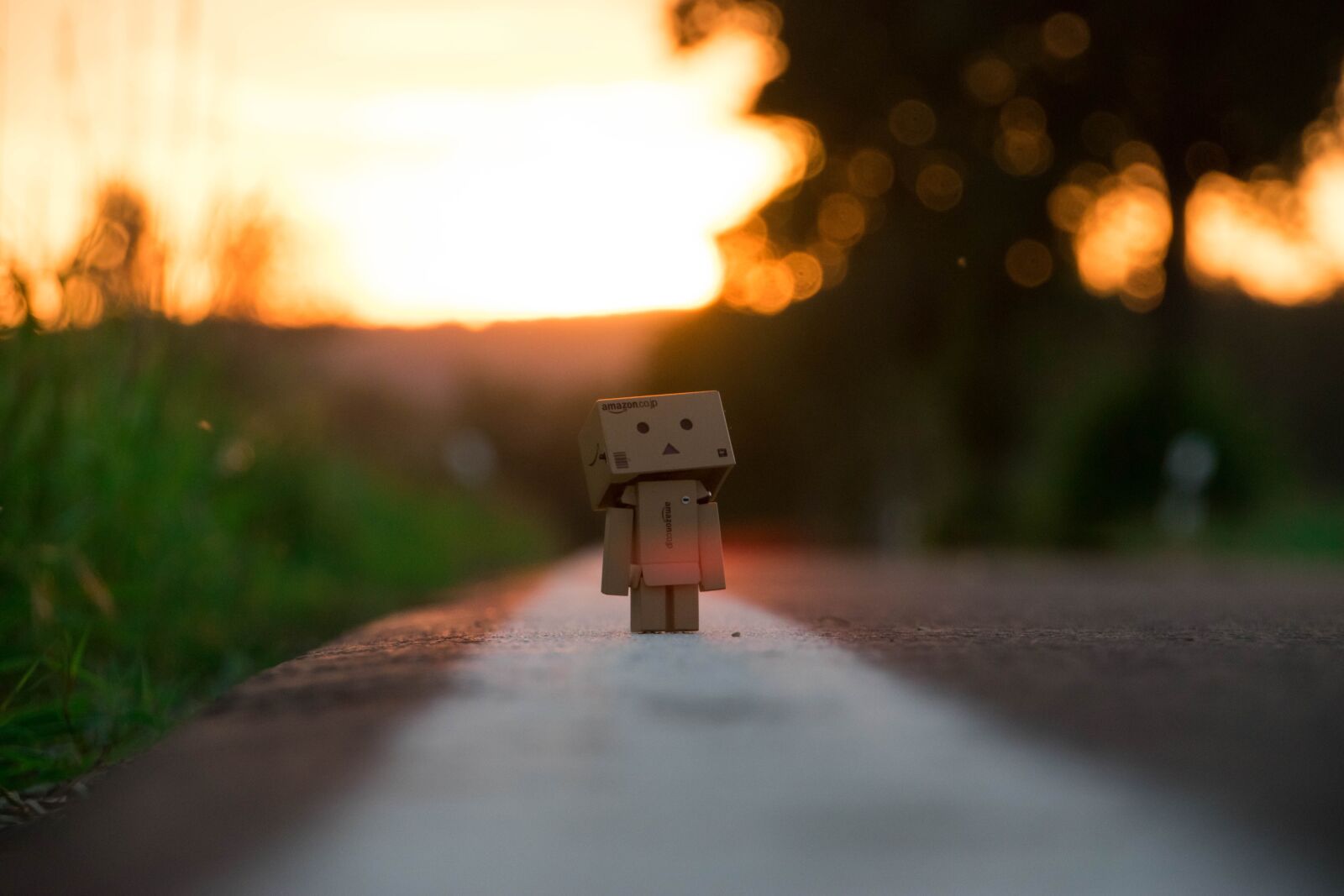 Nikon D3300 sample photo. Danbo, sunset, nature photography