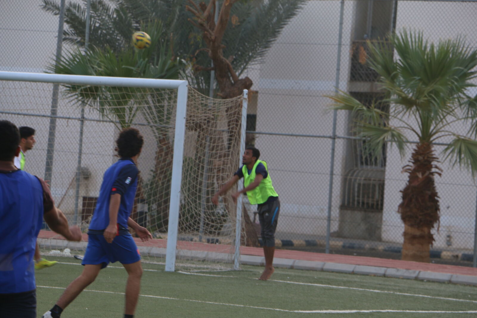 Canon EOS 70D sample photo