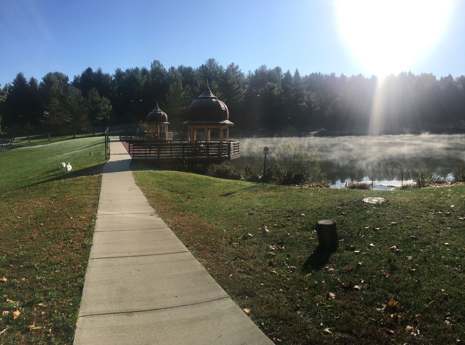 iPhone 6s Plus back camera 4.15mm f/2.2 sample photo. New vrindaban, yoga center photography