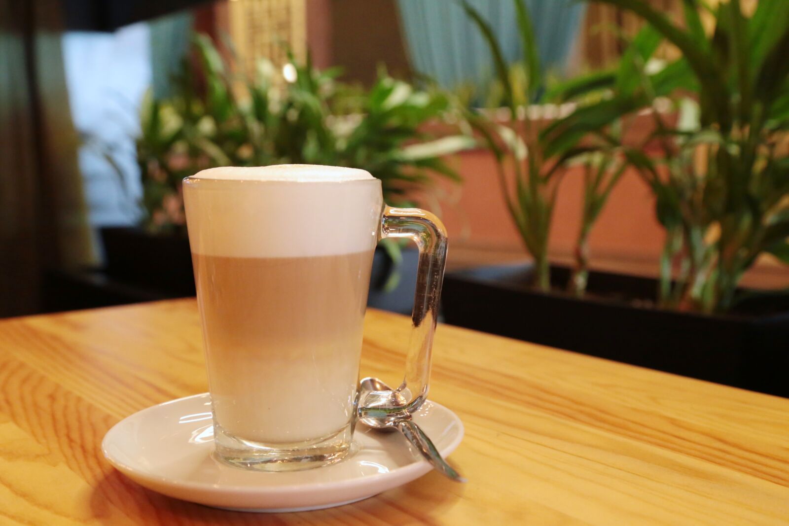 Canon EOS 6D + Canon EF 24-105mm F4L IS USM sample photo. Coffee, cup, cappuccino photography