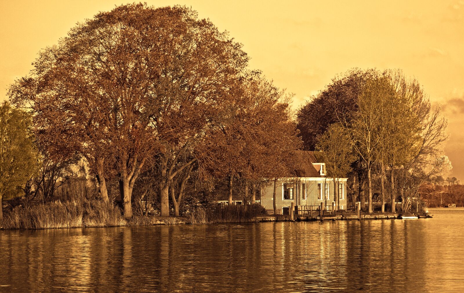 Sony Cyber-shot DSC-RX100 sample photo. River, farmhouse, trees photography