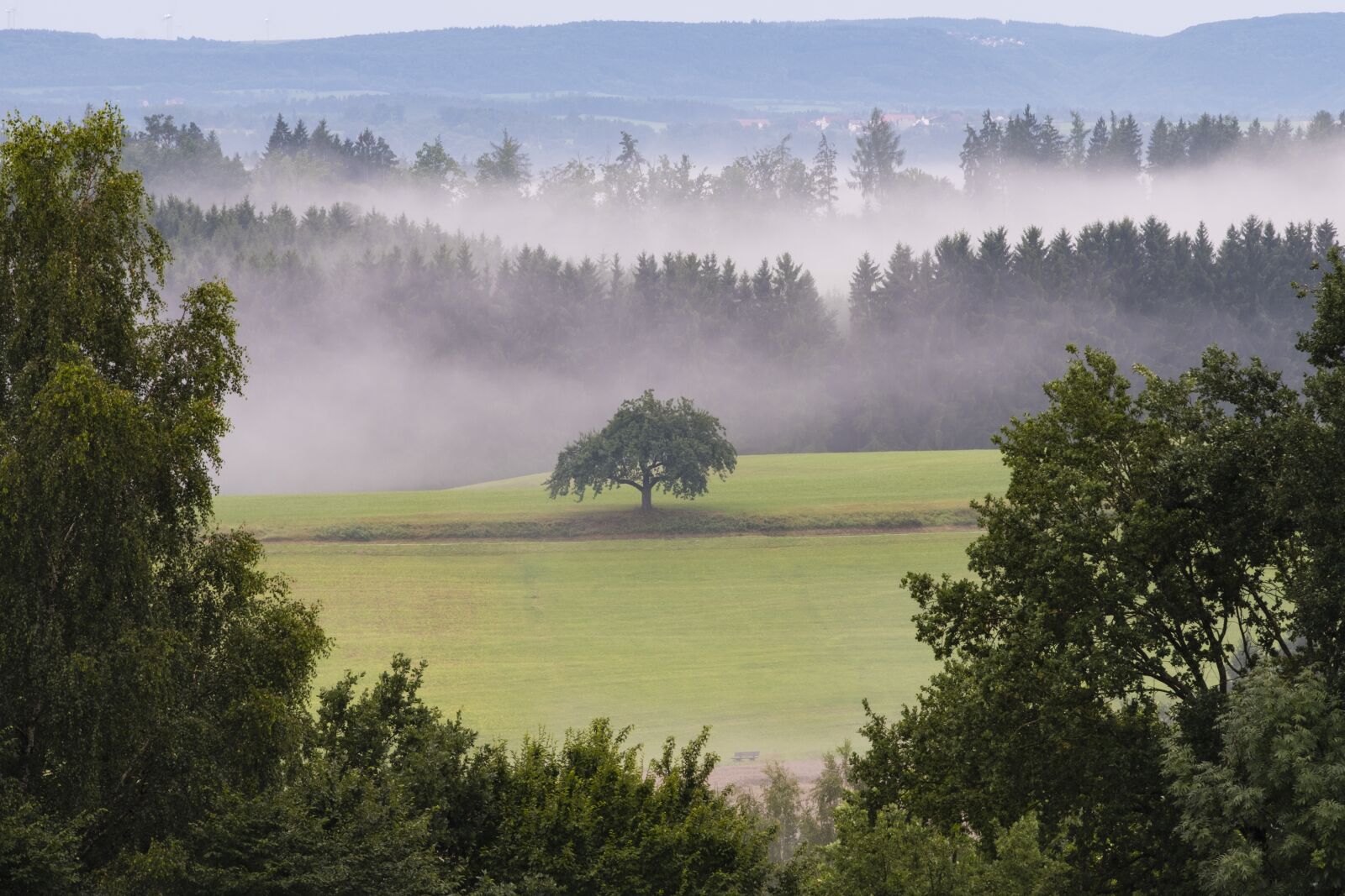 Fujifilm XF 50-140mm F2.8 R LM OIS WR sample photo. Landscape, forest, fog photography