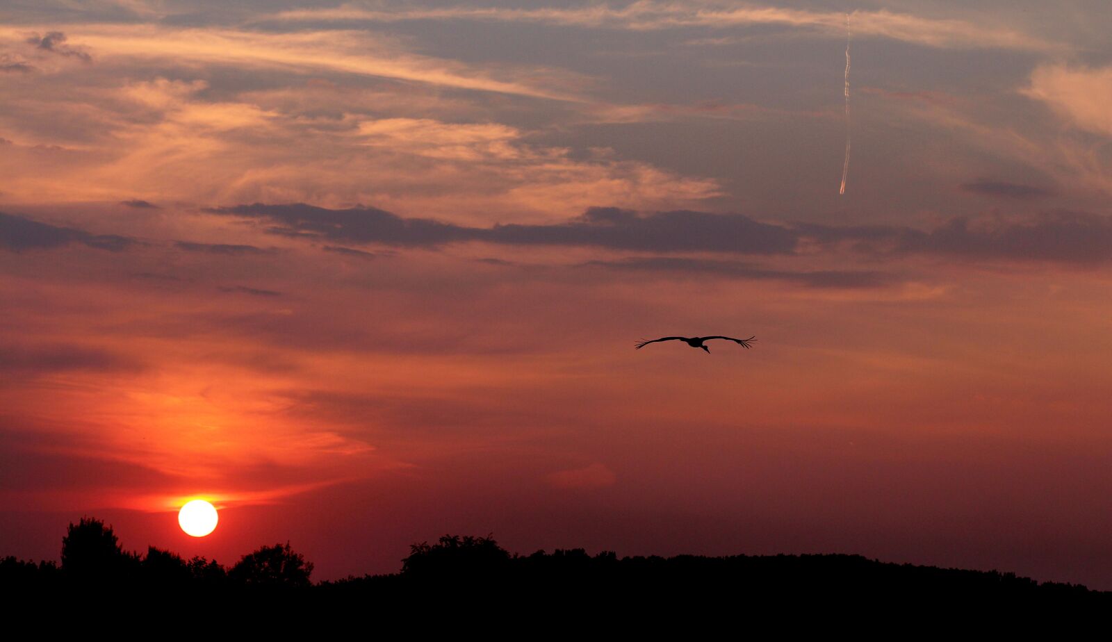 Canon EOS 700D (EOS Rebel T5i / EOS Kiss X7i) + Canon EF 85mm F1.8 USM sample photo. Sunset, sun, stork photography