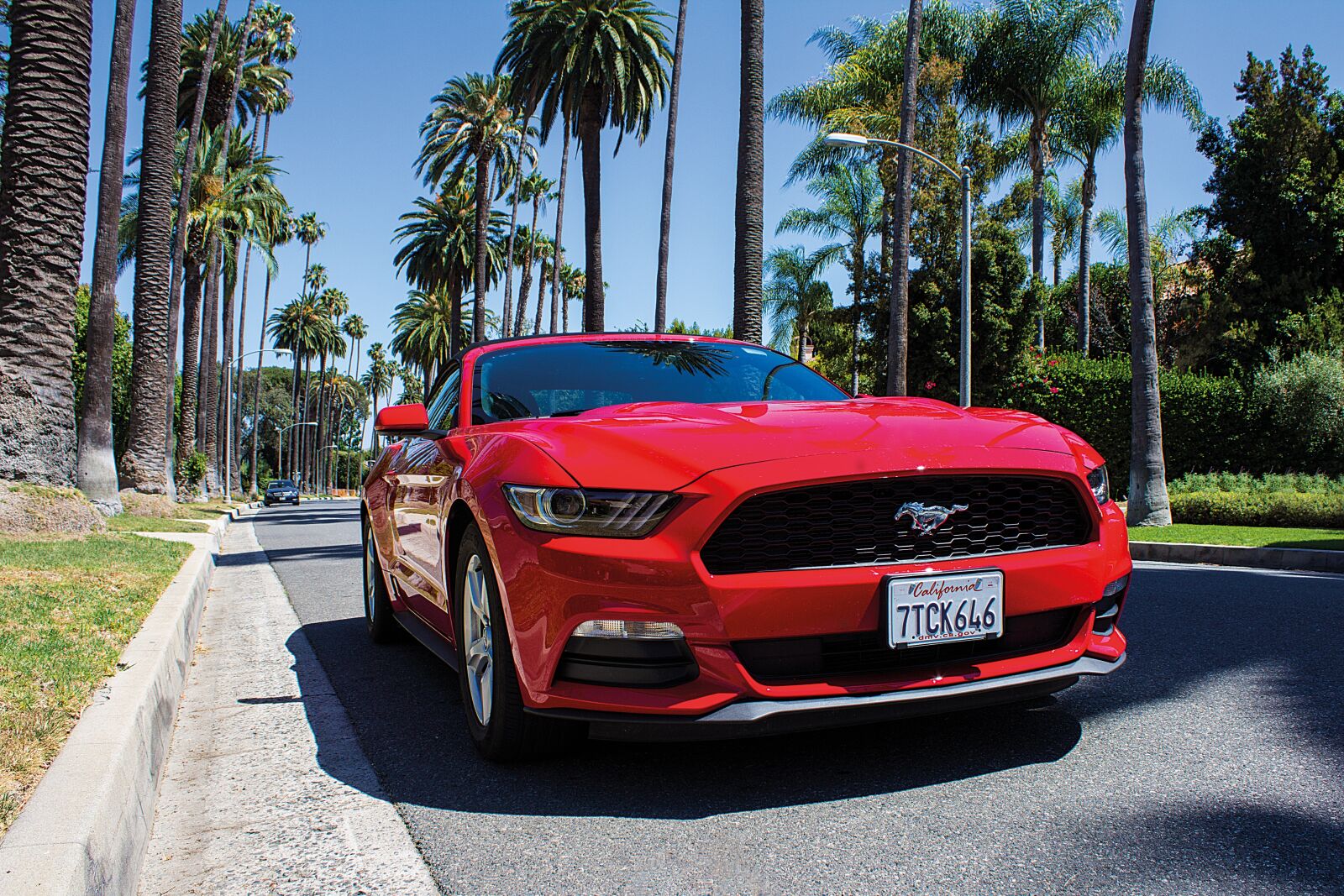 Canon EOS 600D (Rebel EOS T3i / EOS Kiss X5) sample photo. Convertible, ford mustang, beverly photography
