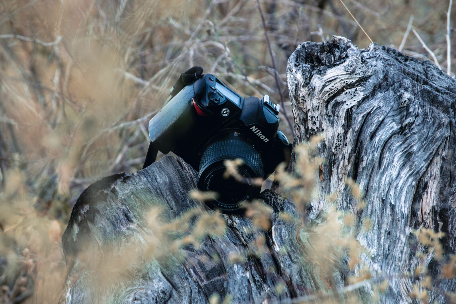 Nikon D3200 sample photo. Nikon, lens, camera photography