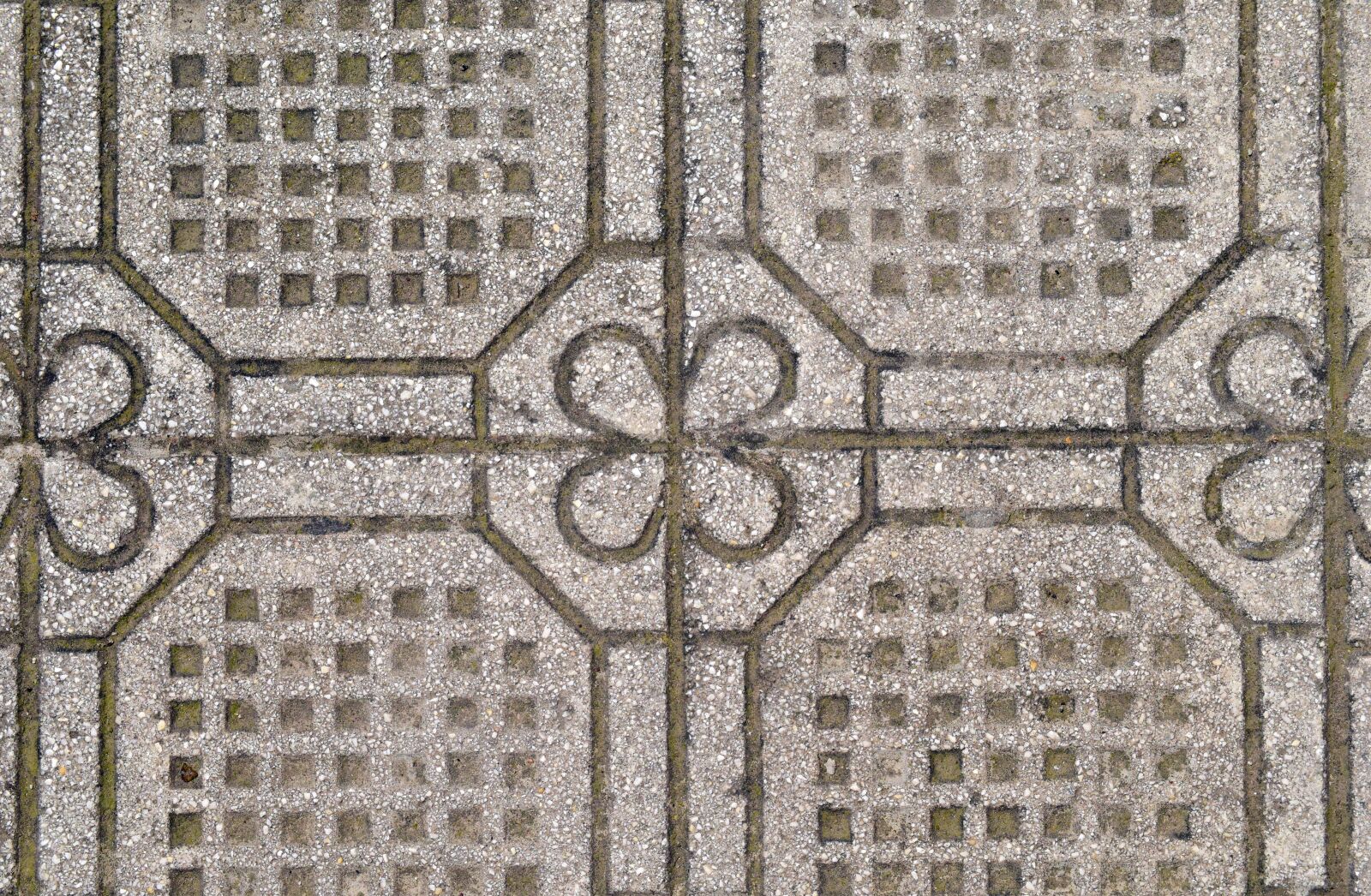 Nikon D3300 sample photo. Patch, stone, paving stone photography