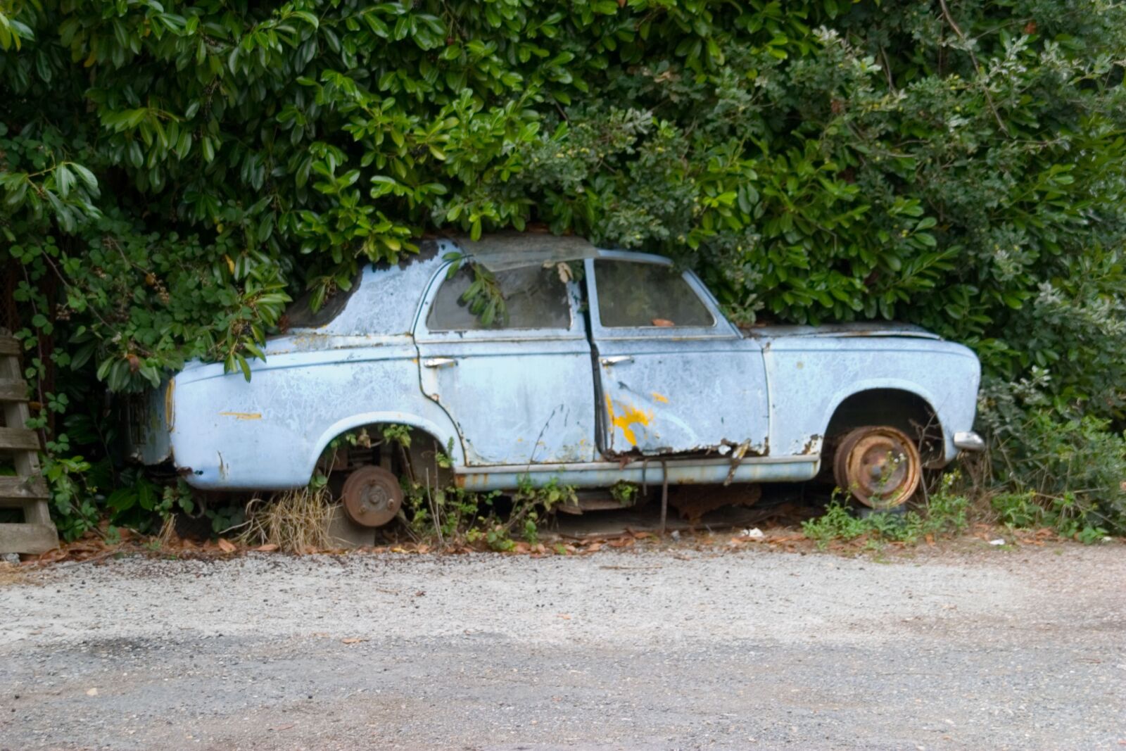 Canon EOS 10D sample photo. Old car, blue car photography