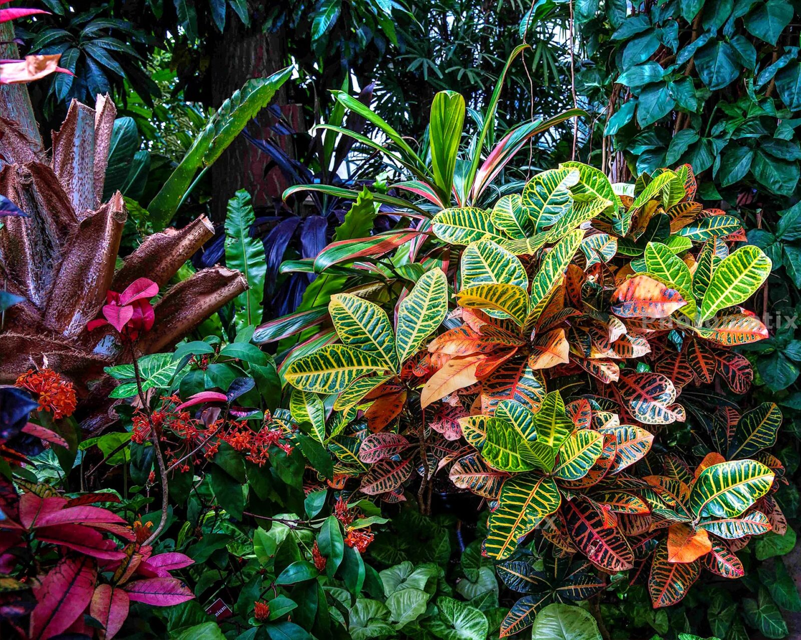 Nikon D750 sample photo. Greenhouse, leaf, nature photography