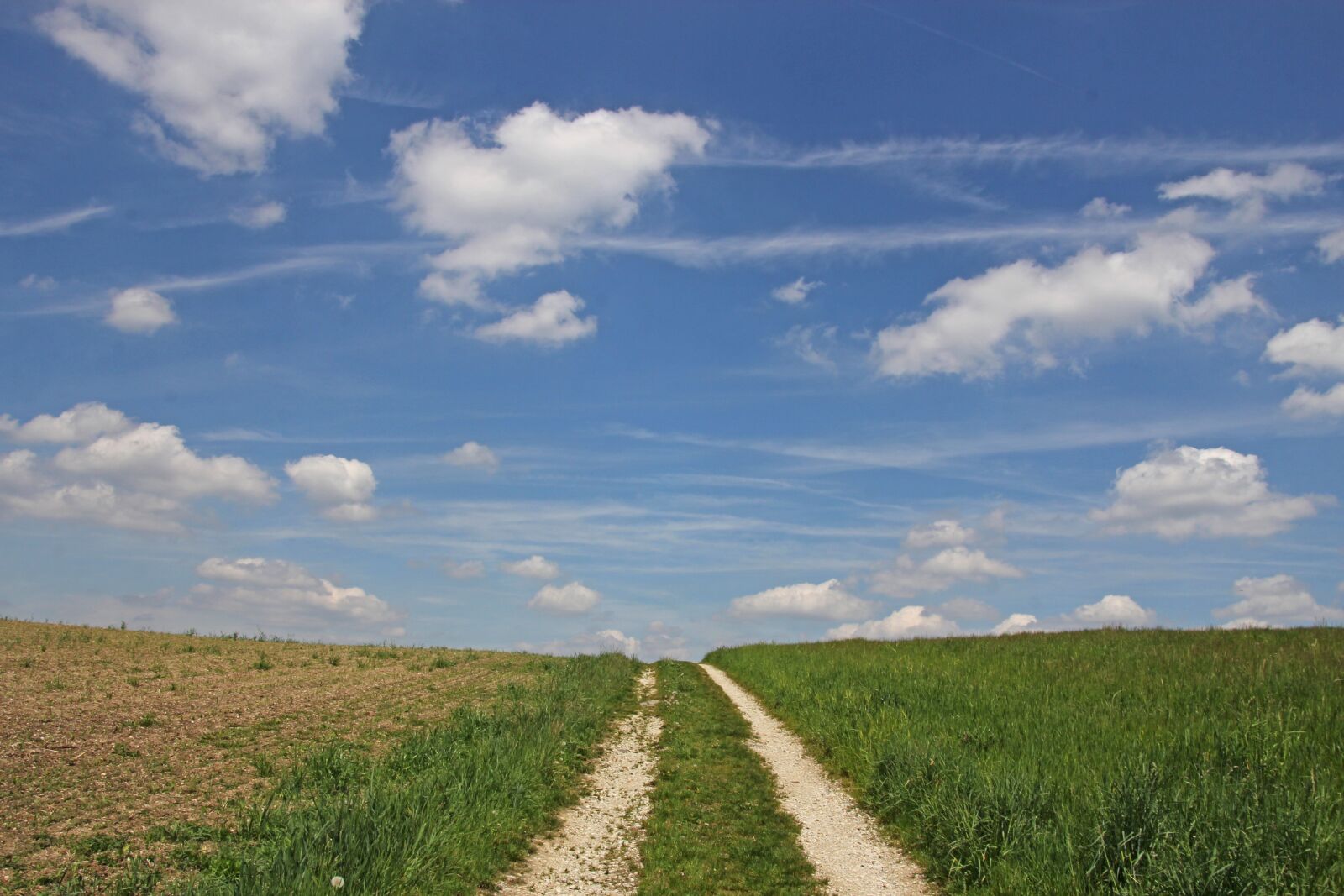 Canon EOS 60D sample photo. Background, away, lane photography