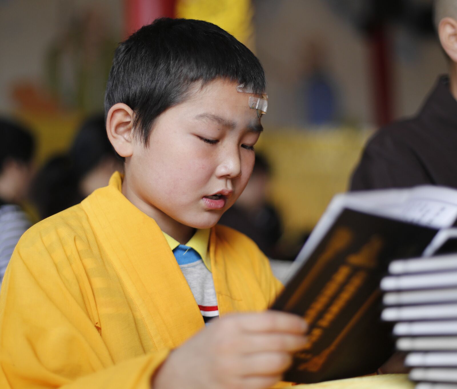 Canon EOS 6D + Canon EF 50mm F1.4 USM sample photo. Chanting, by the book photography
