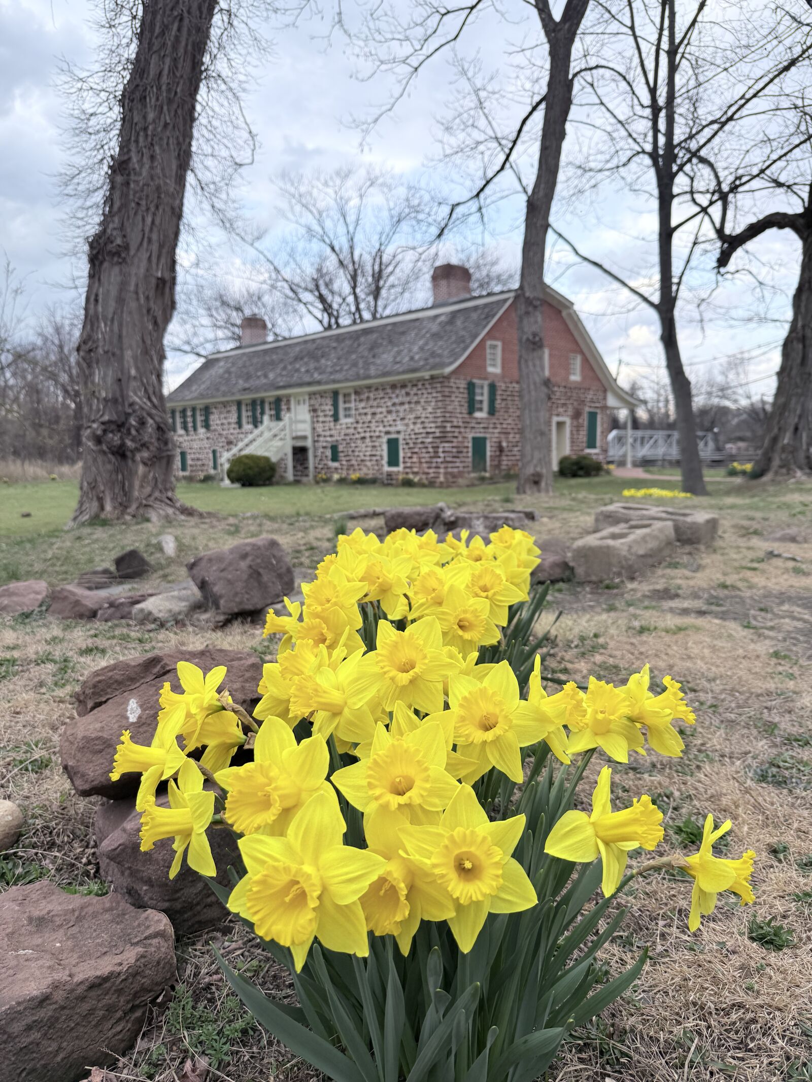 Andre Art Andre Photography Explorecams Community