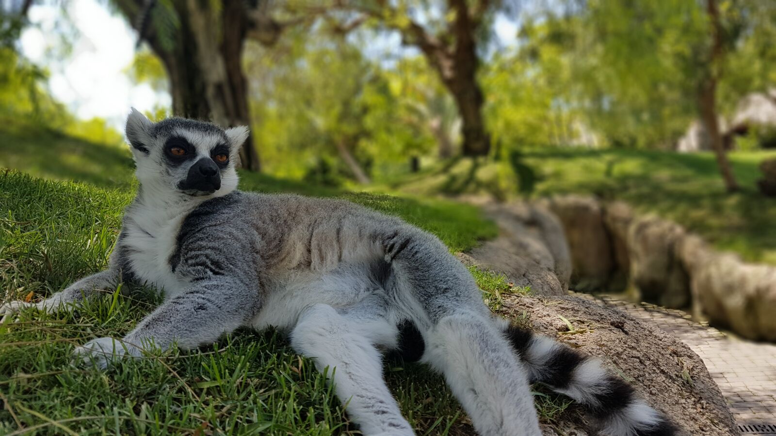 Samsung Galaxy S7 Edge sample photo. Beautiful, beauty, europe, lemor photography