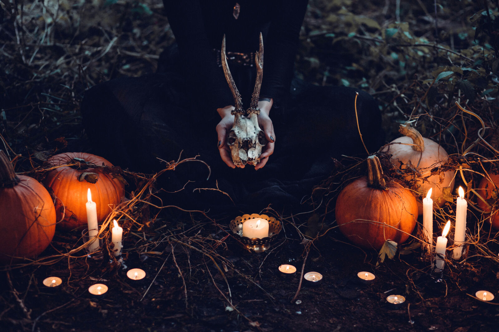 Canon EF 85mm F1.8 USM sample photo. Brown, pumpkin, halloween, decor photography
