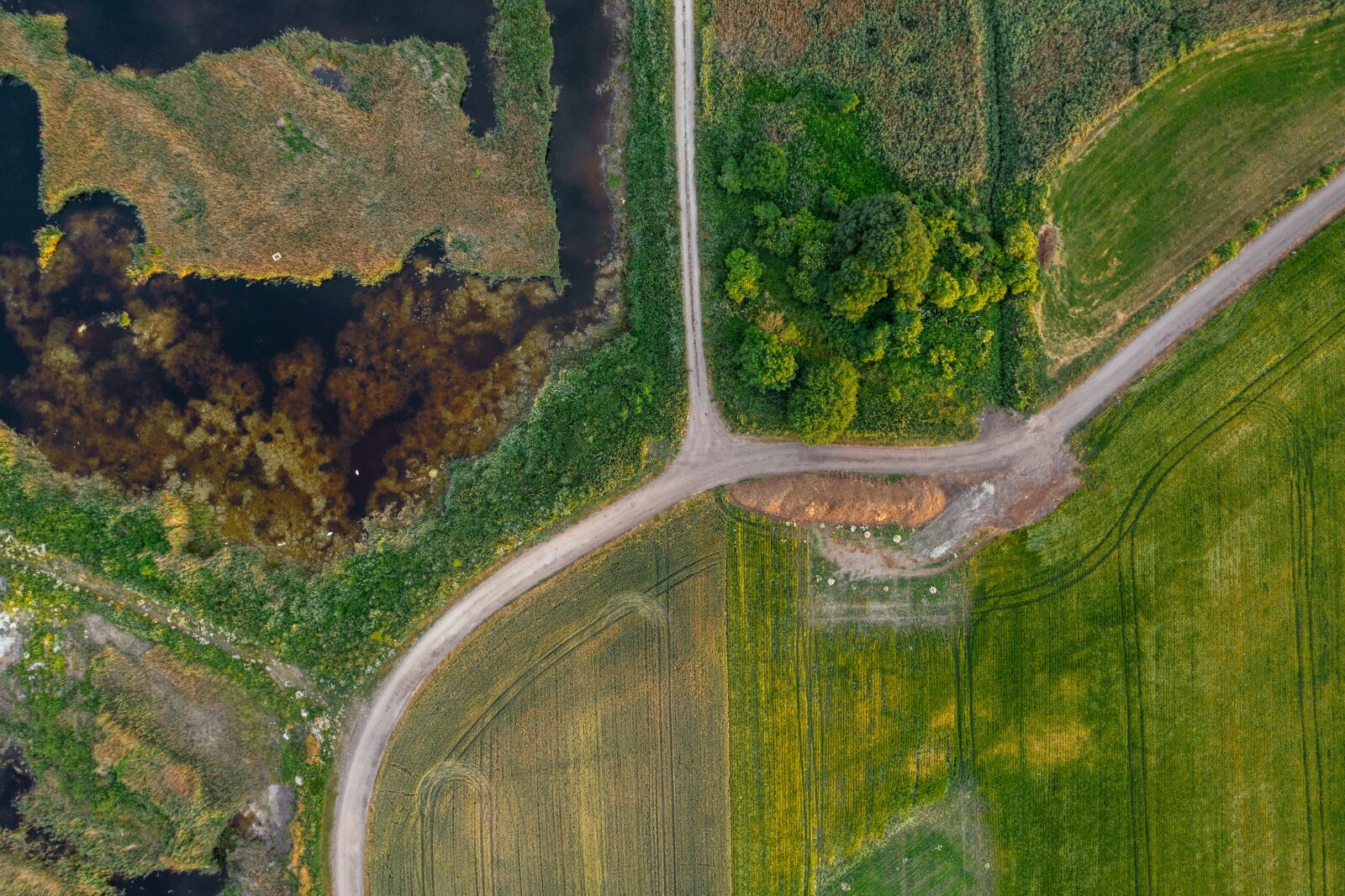 Hasselblad L1D-20c sample photo. Rural, road, countryside photography